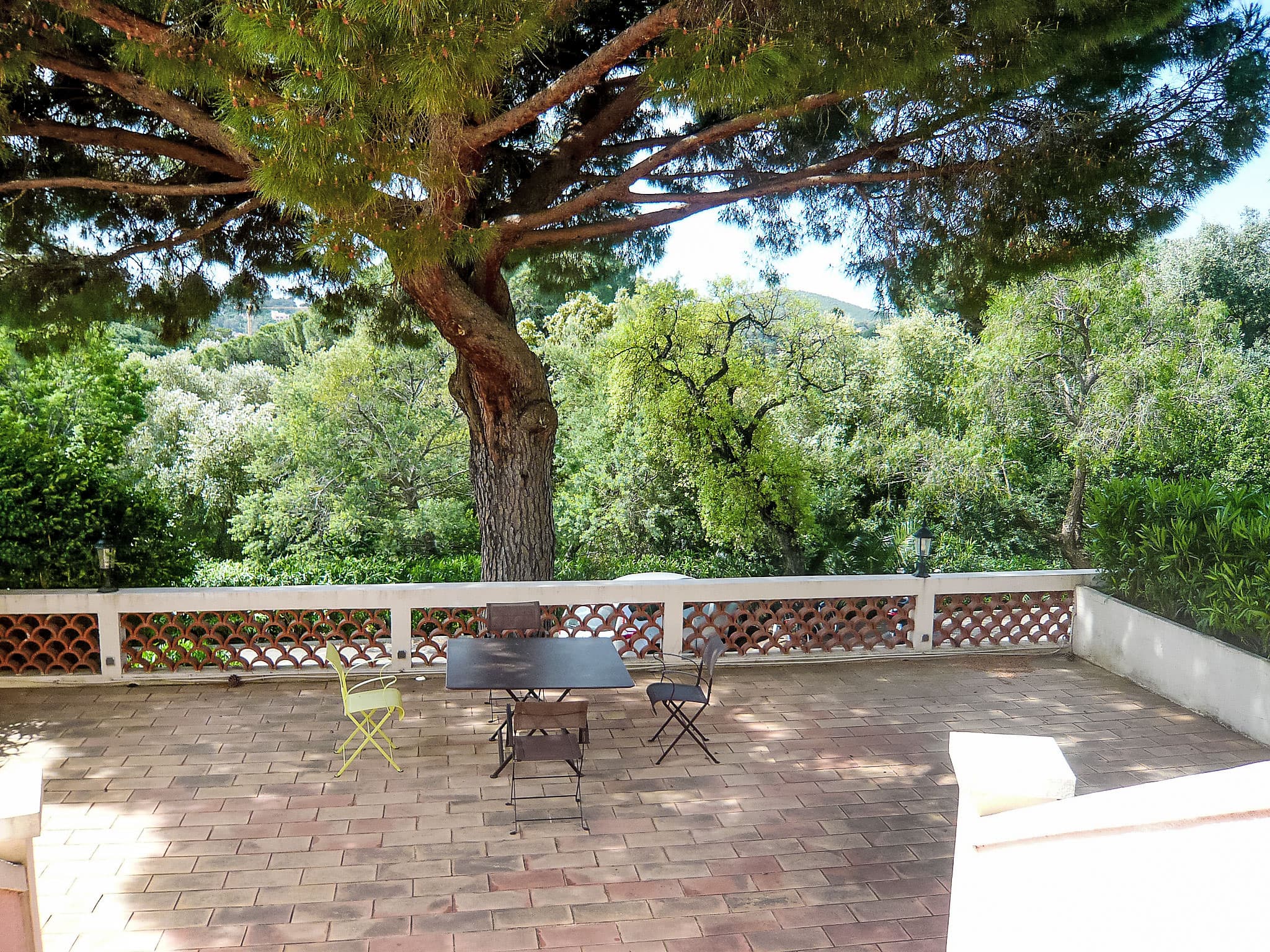 Terrace