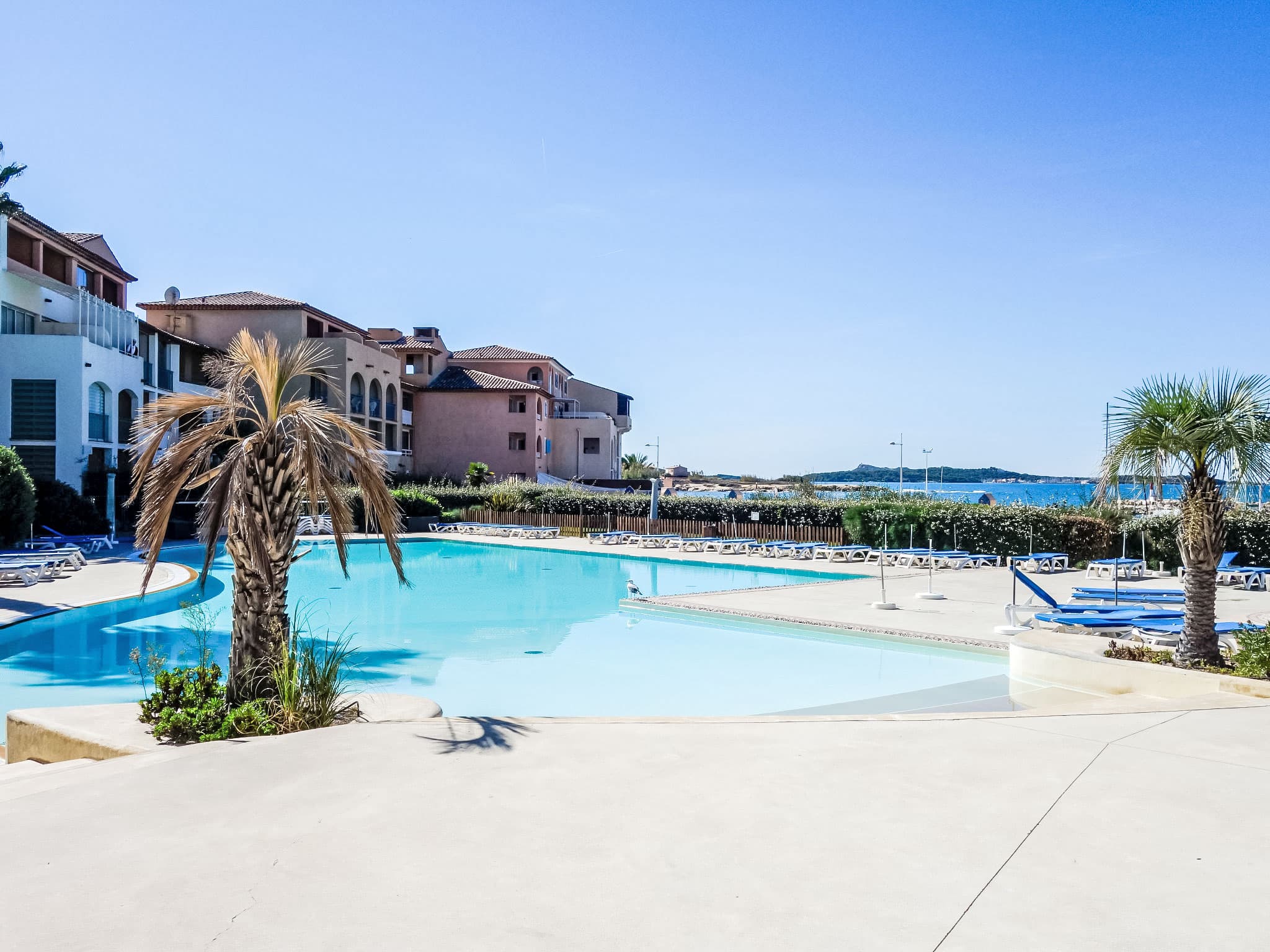 Pool Outdoor