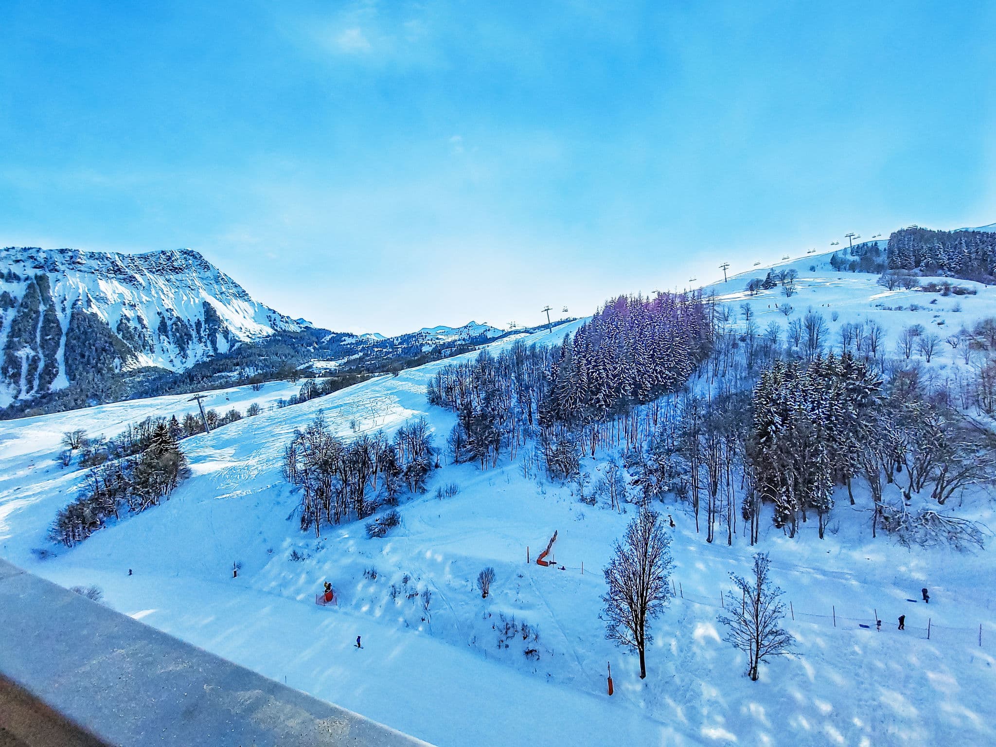 View