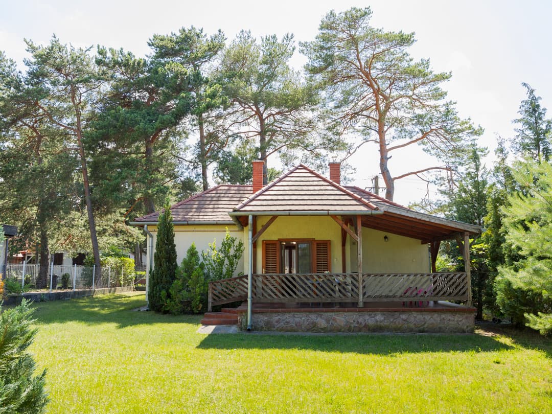 Large Image