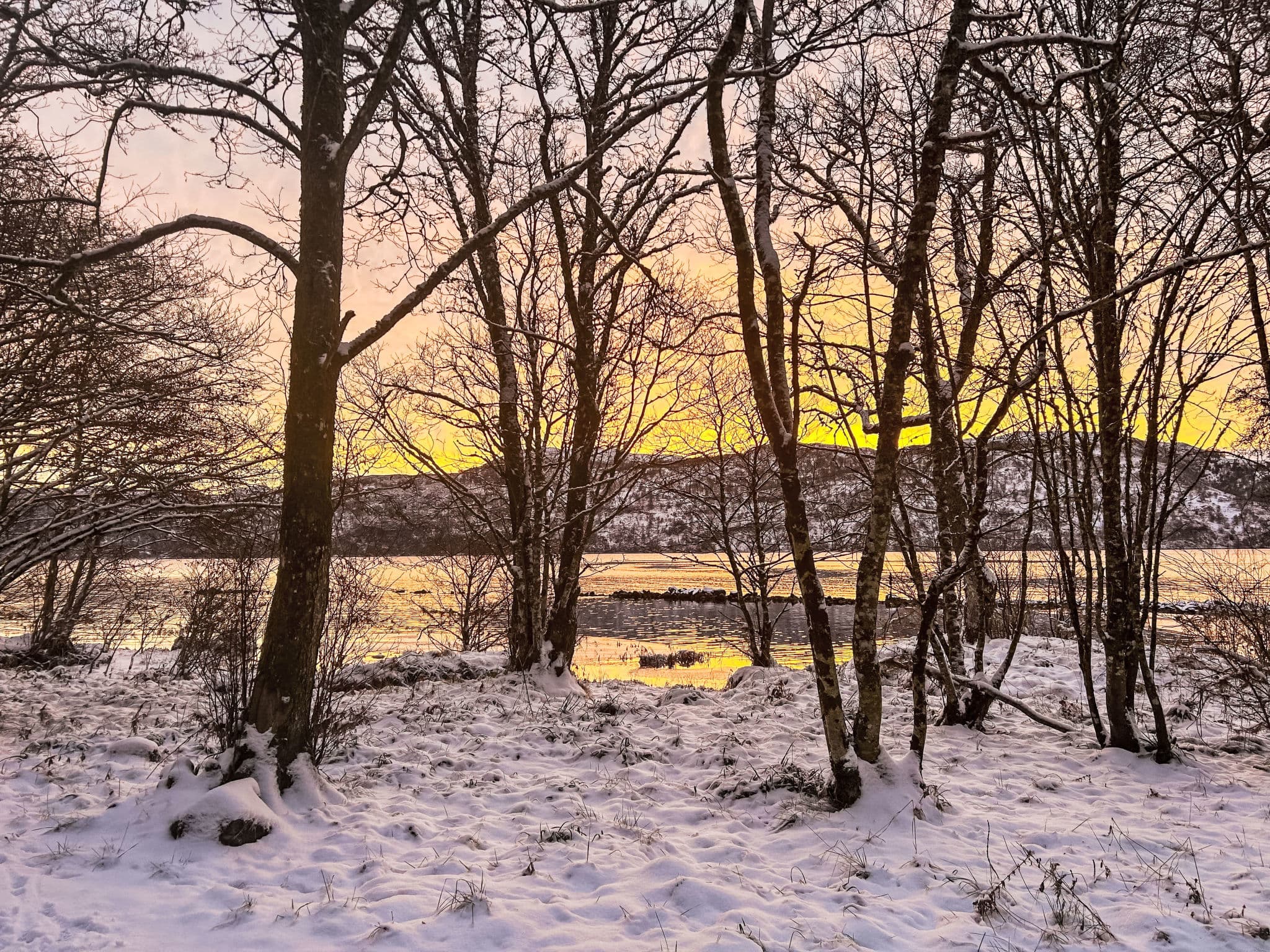 Place