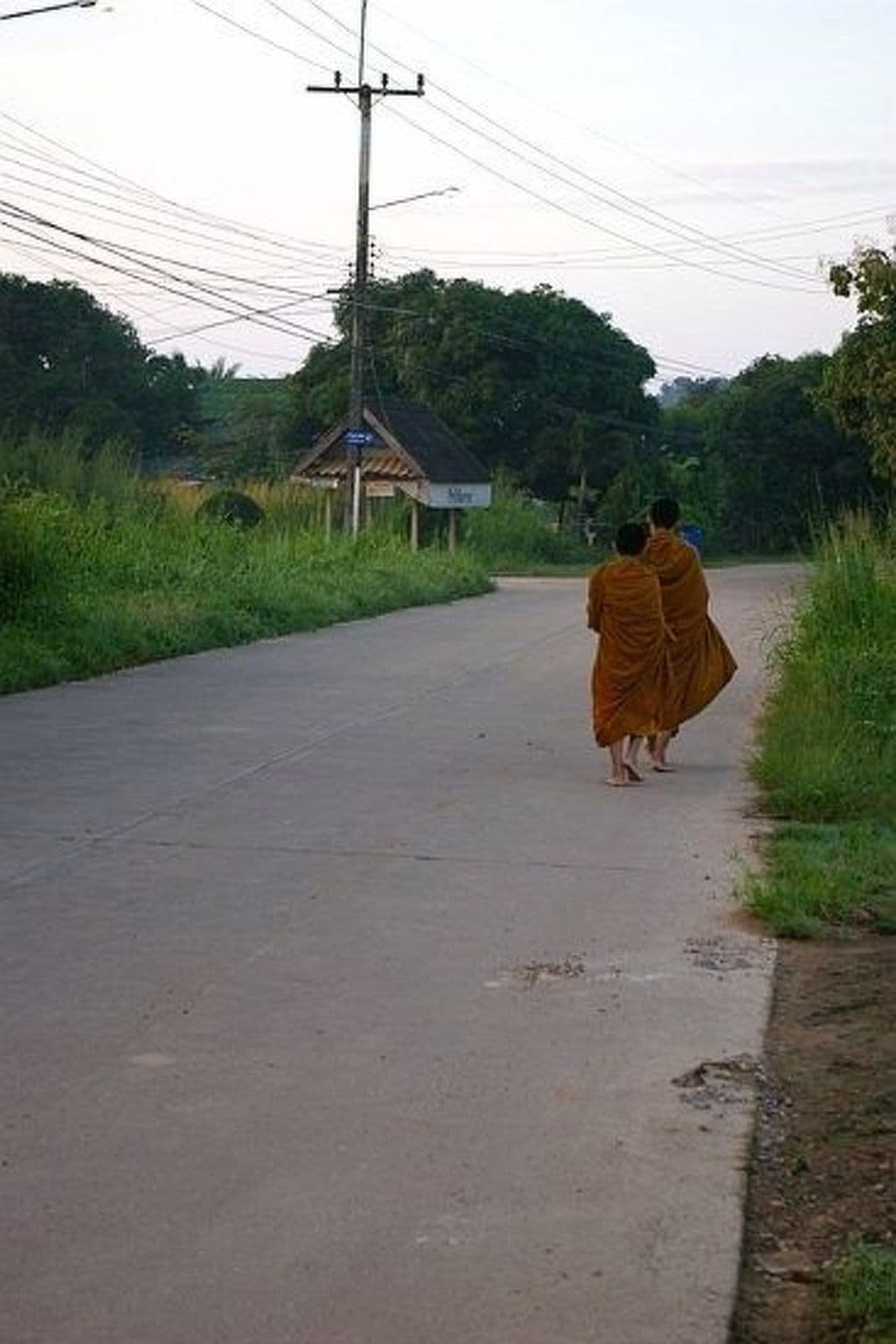 Gallery Image 38
