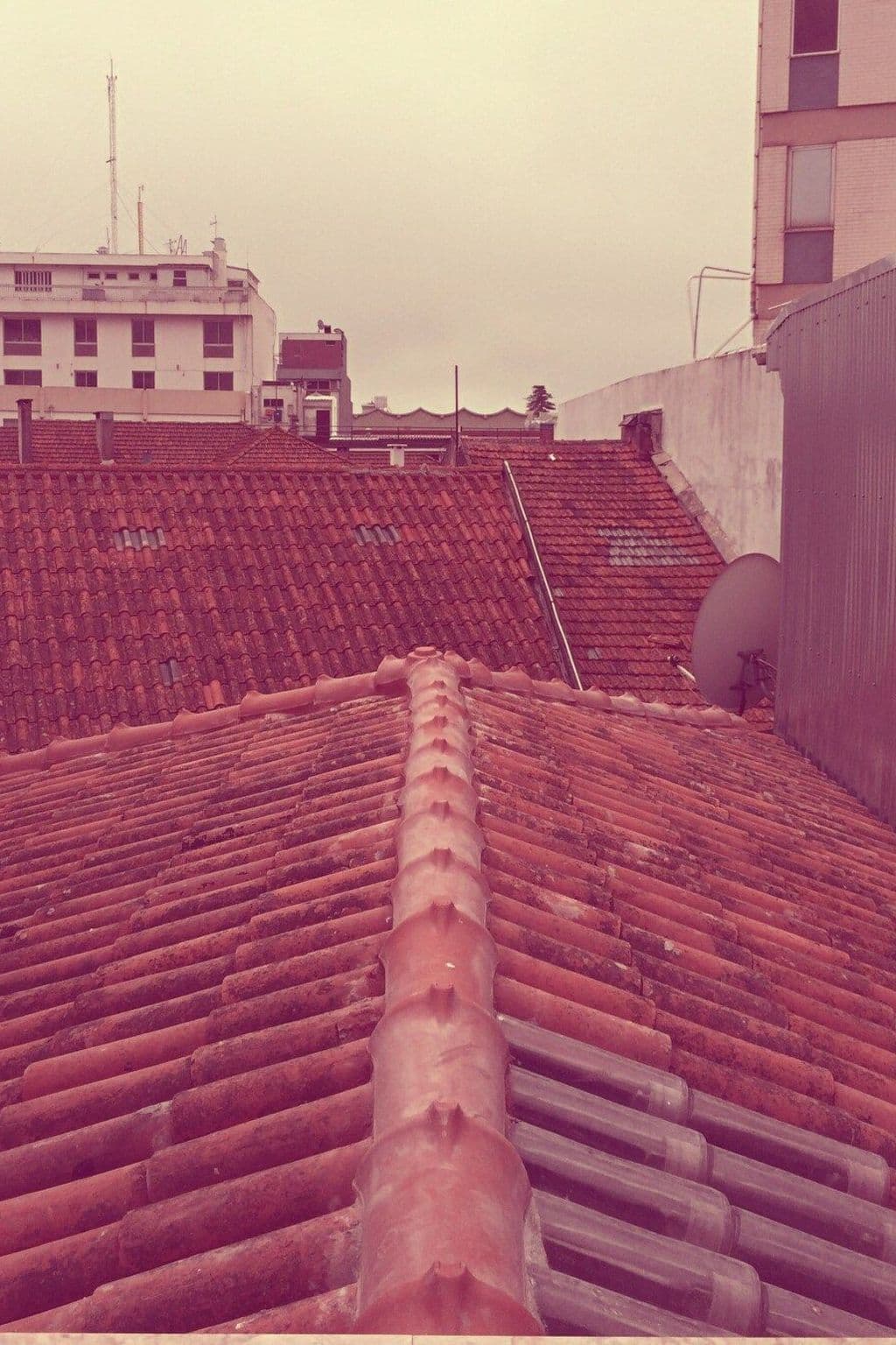 Gallery Image 31