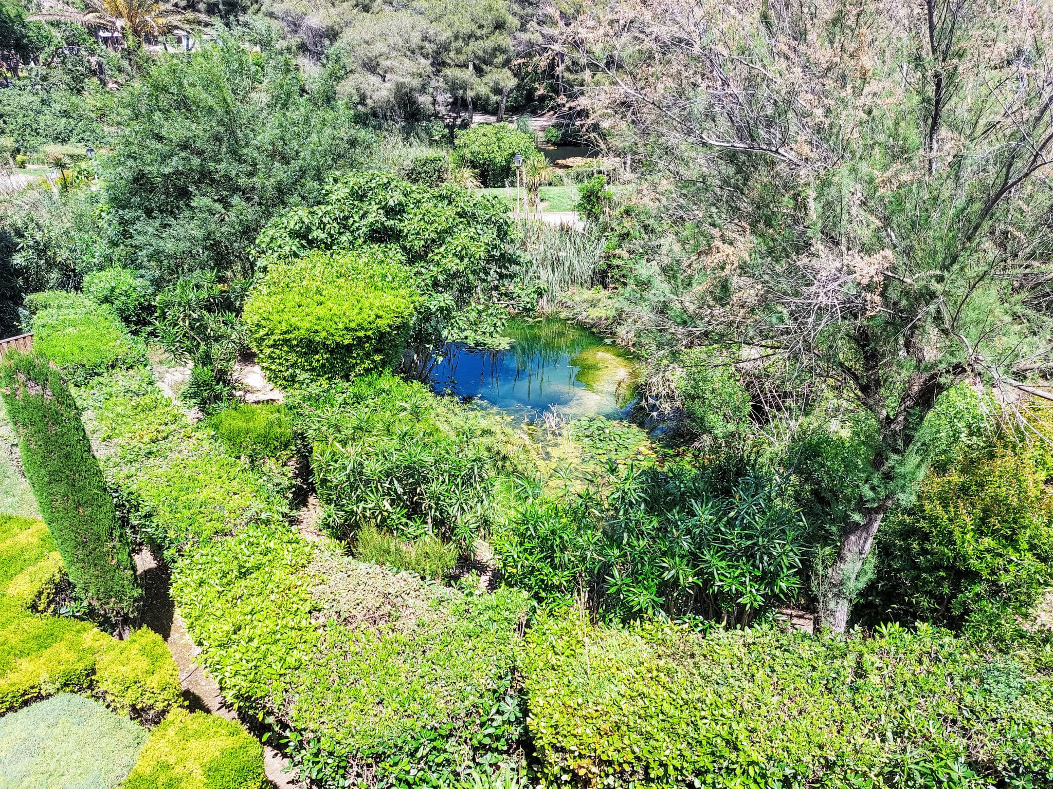 View