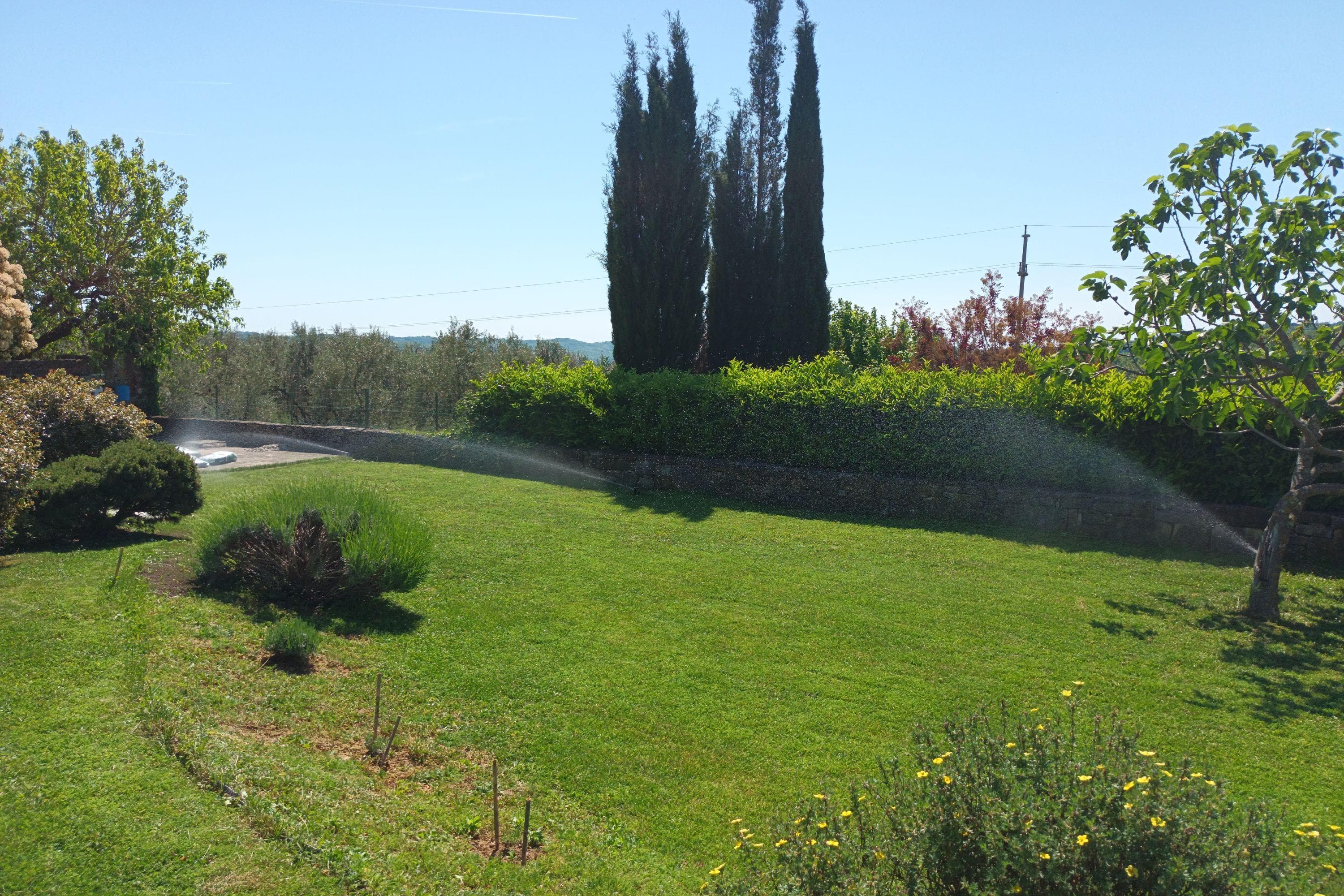 Gallery Image 21