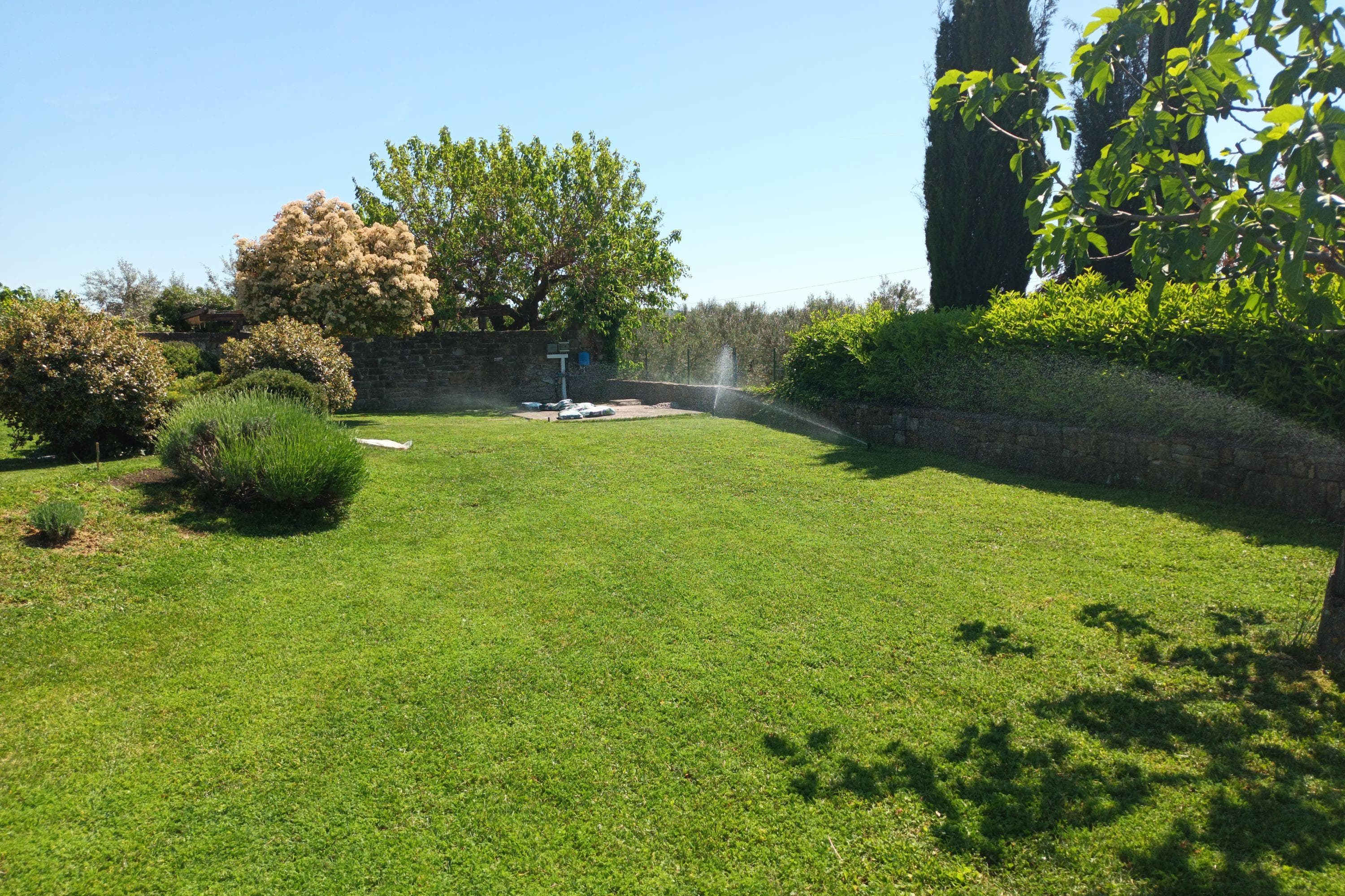 Gallery Image 22