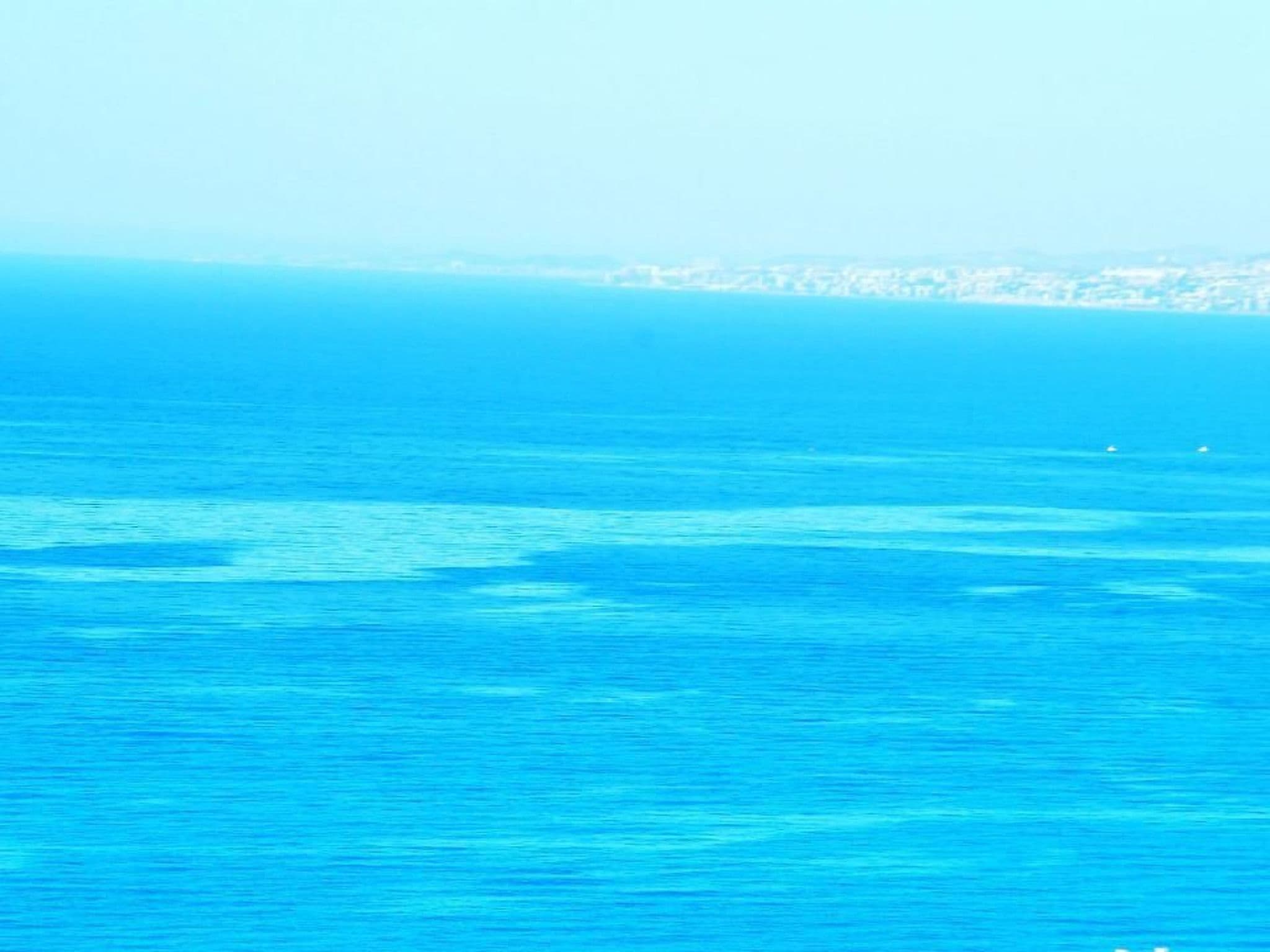 Gallery Image 29