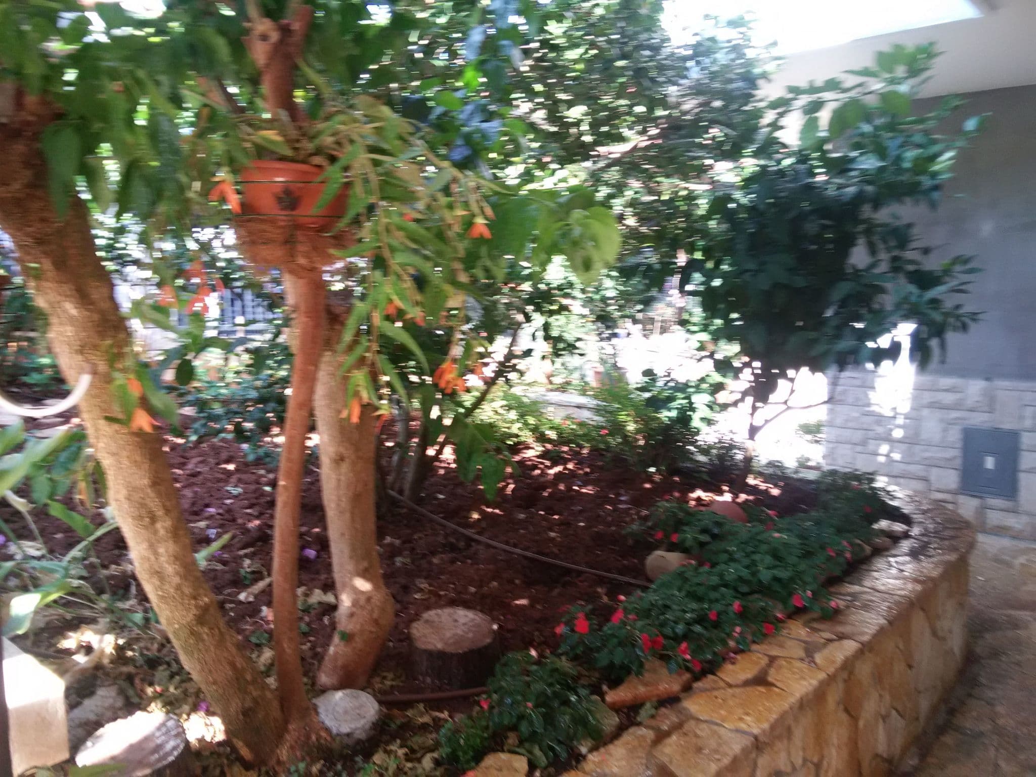 Gallery Image 29