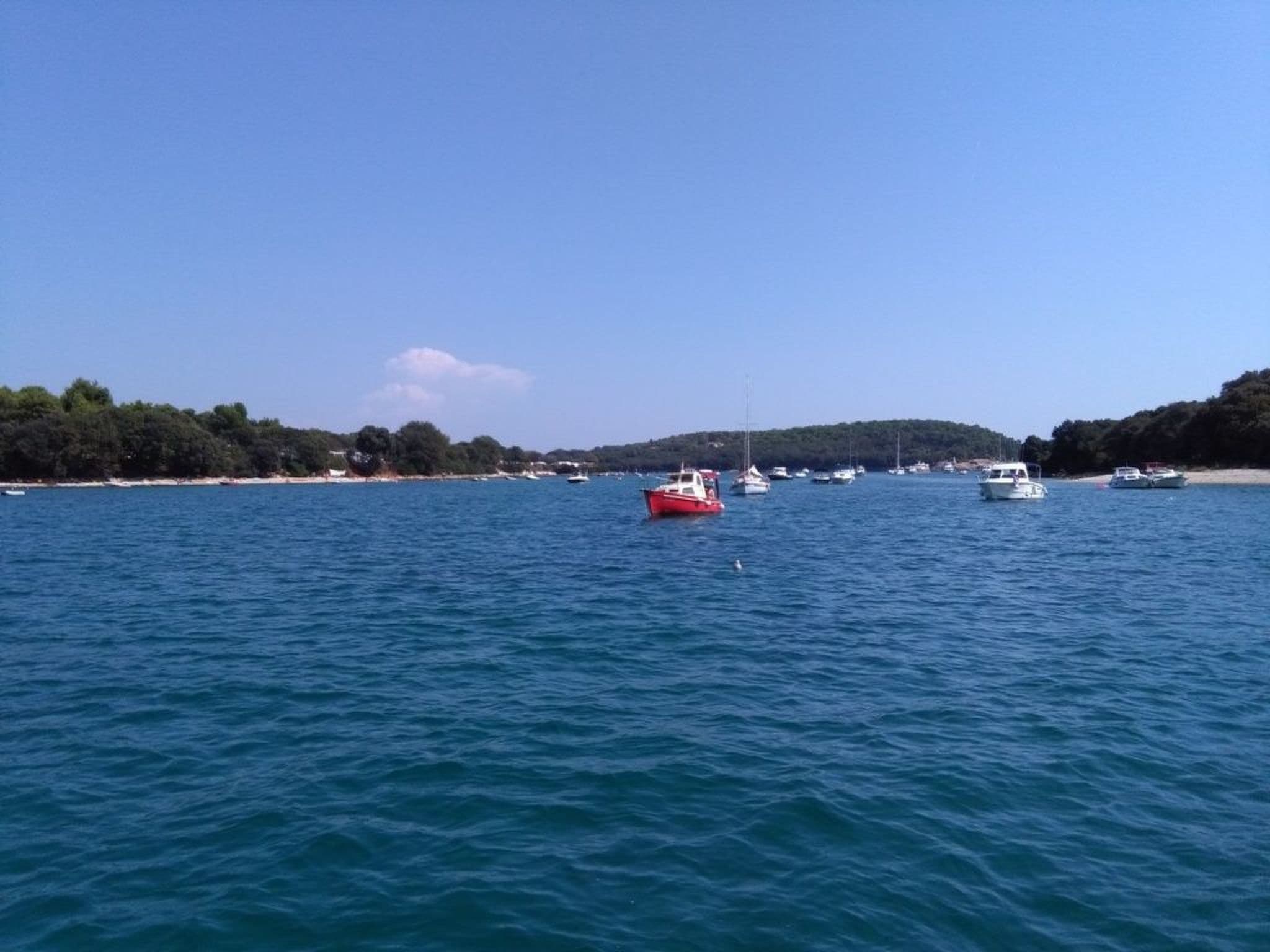 Gallery Image 39