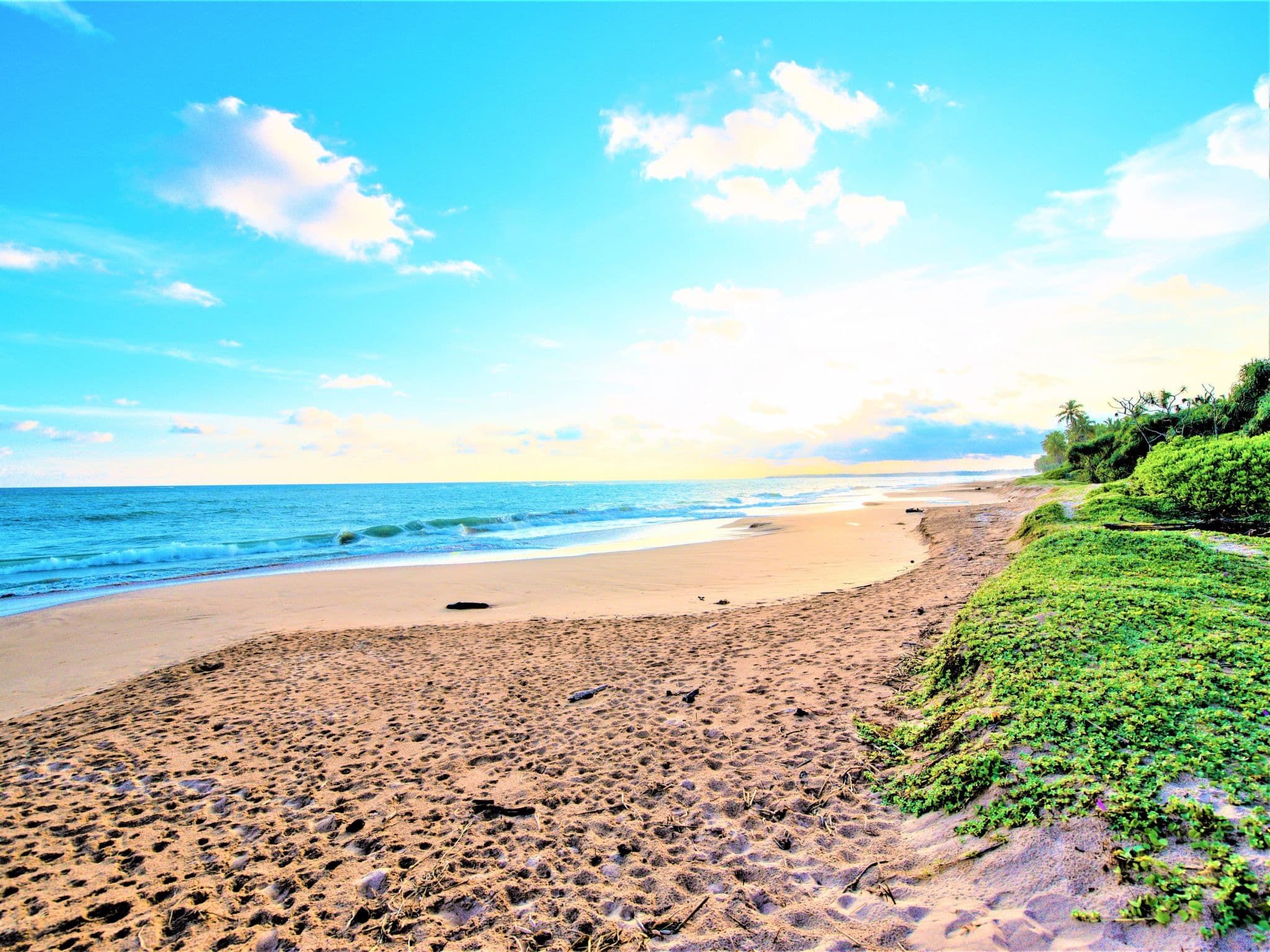 Beach