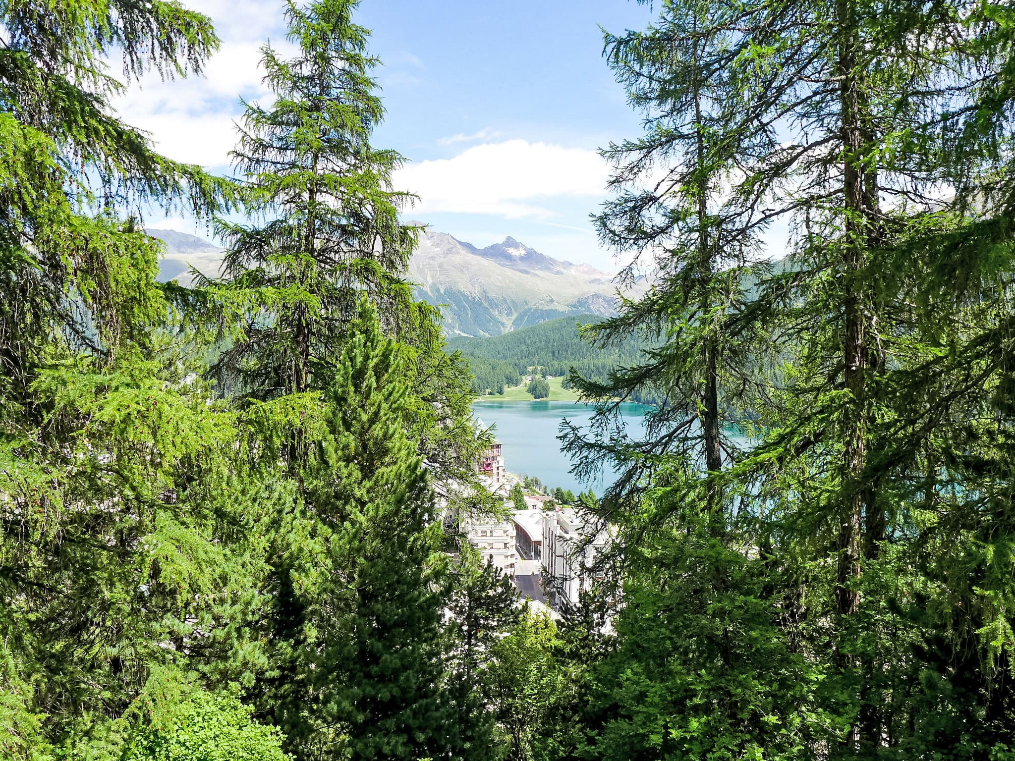 View