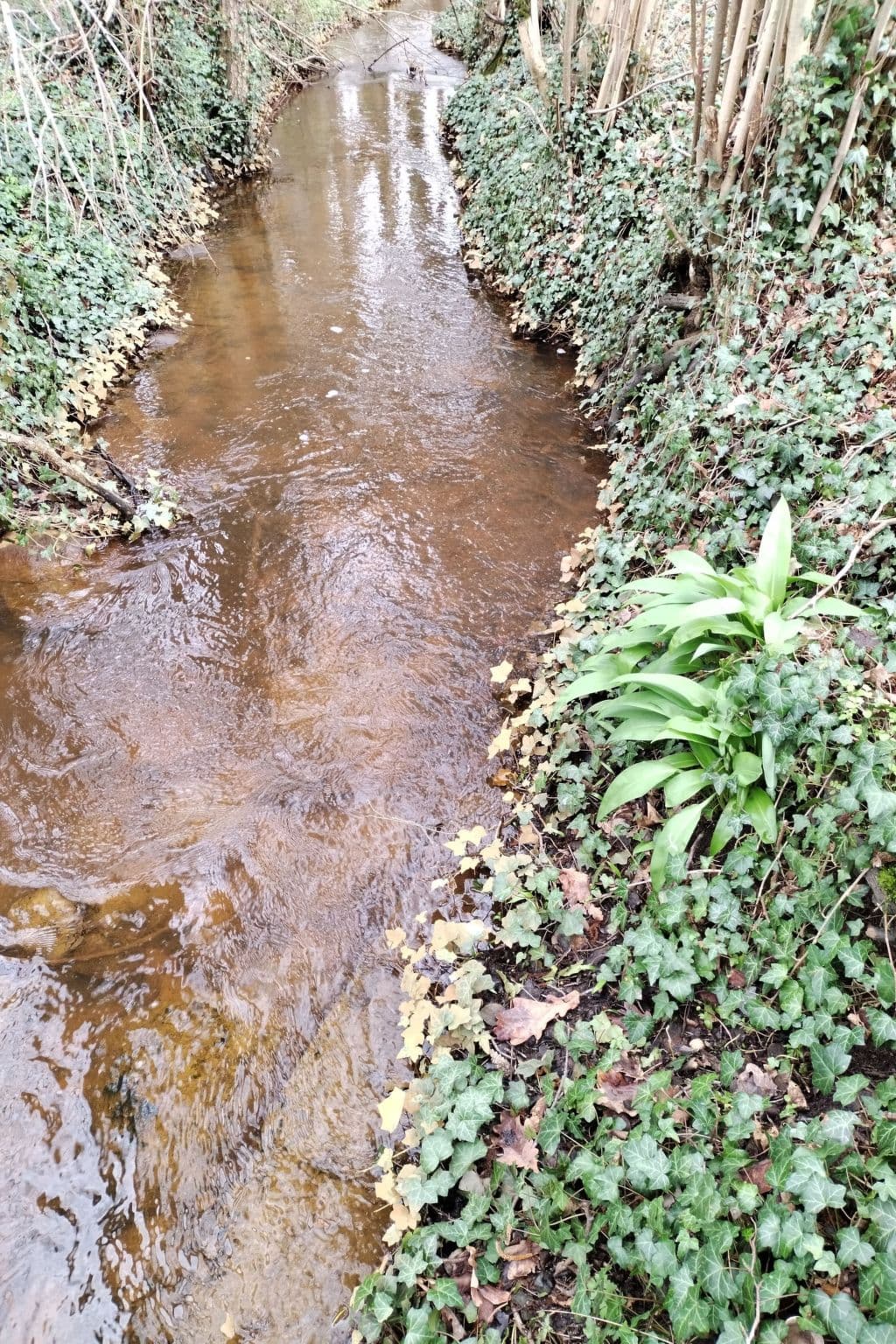 Gallery Image 17