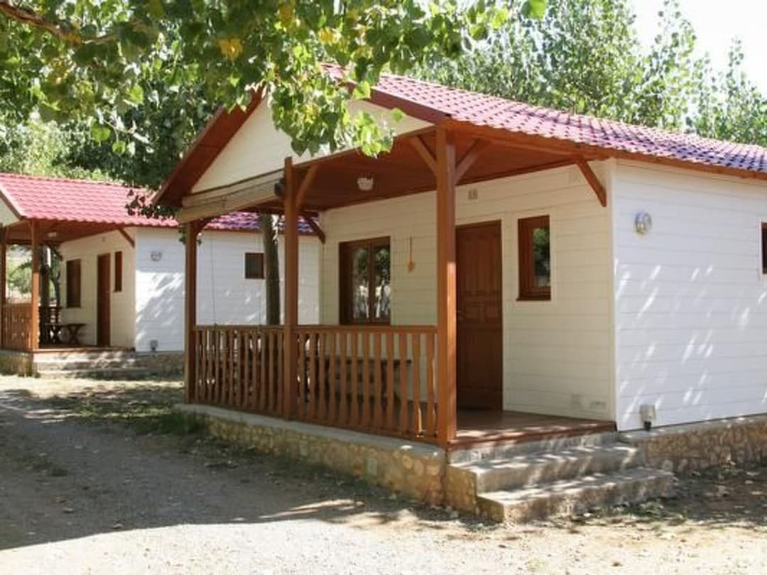 Large Image