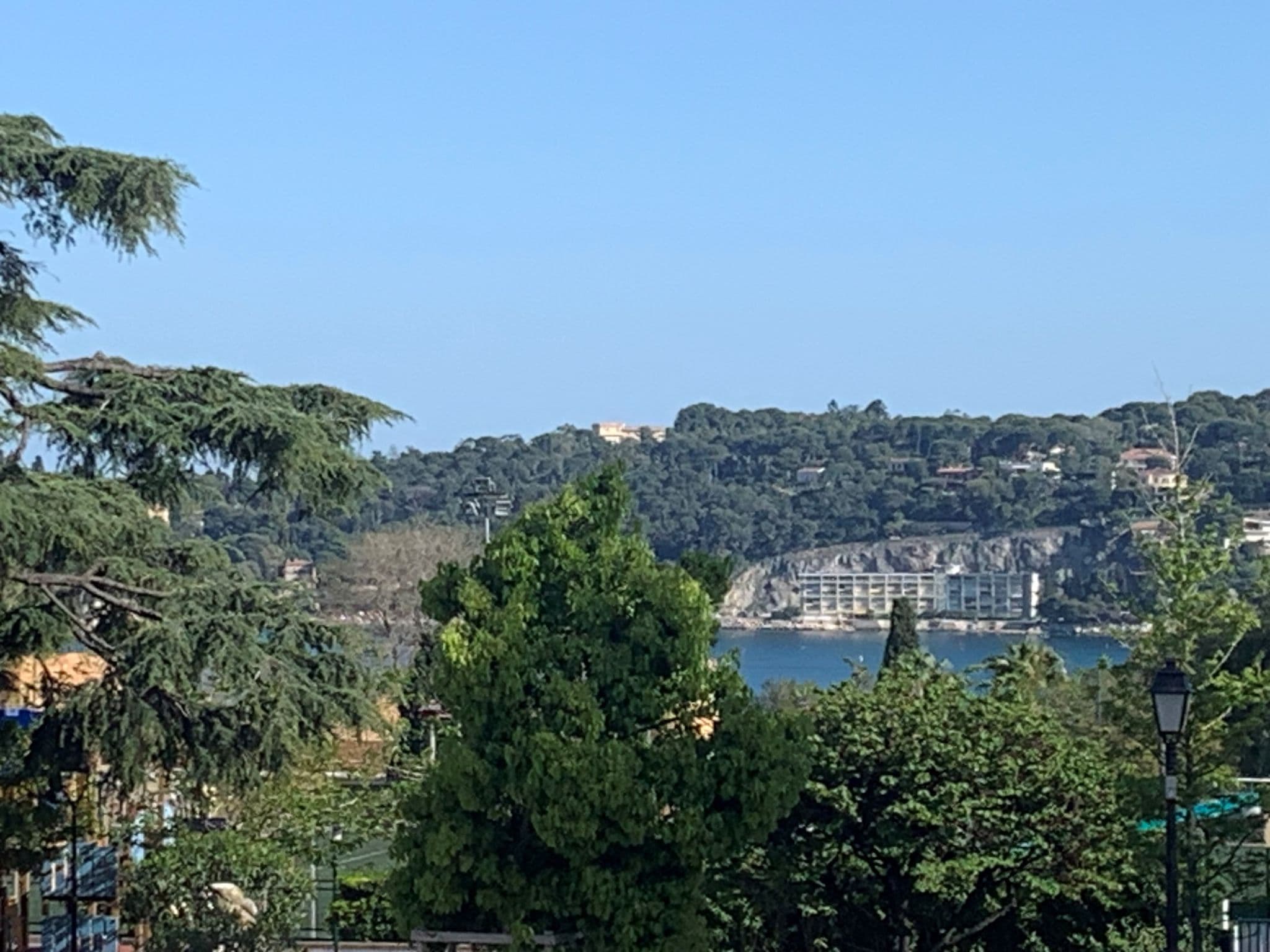 View