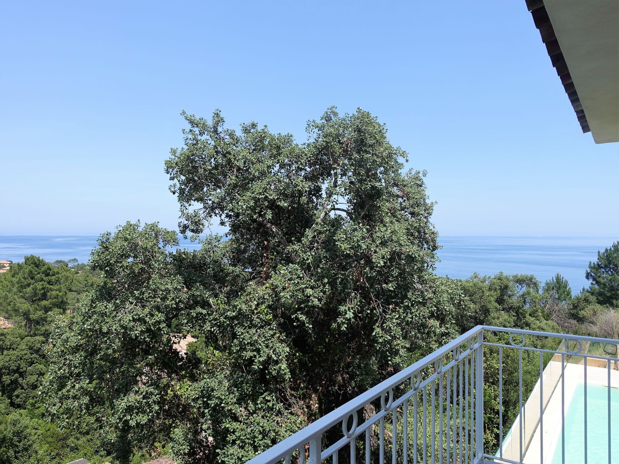 View