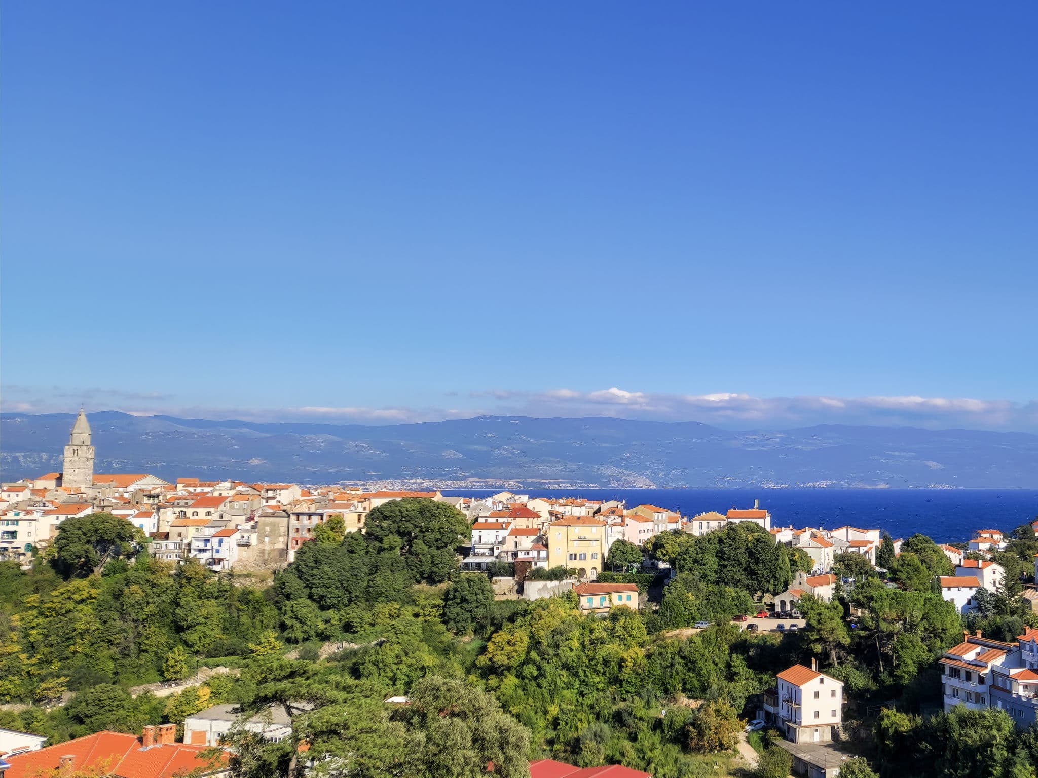 View