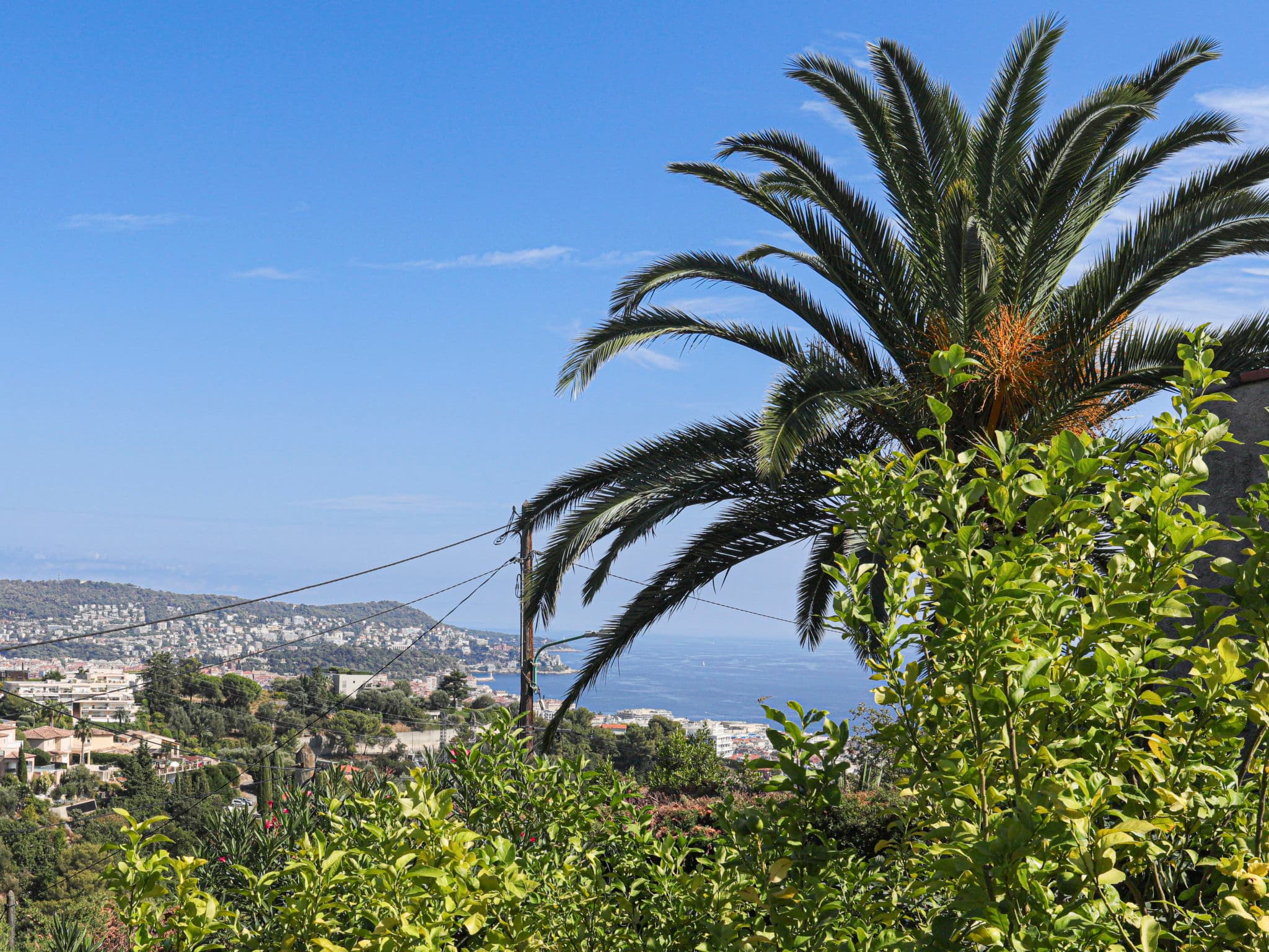 View