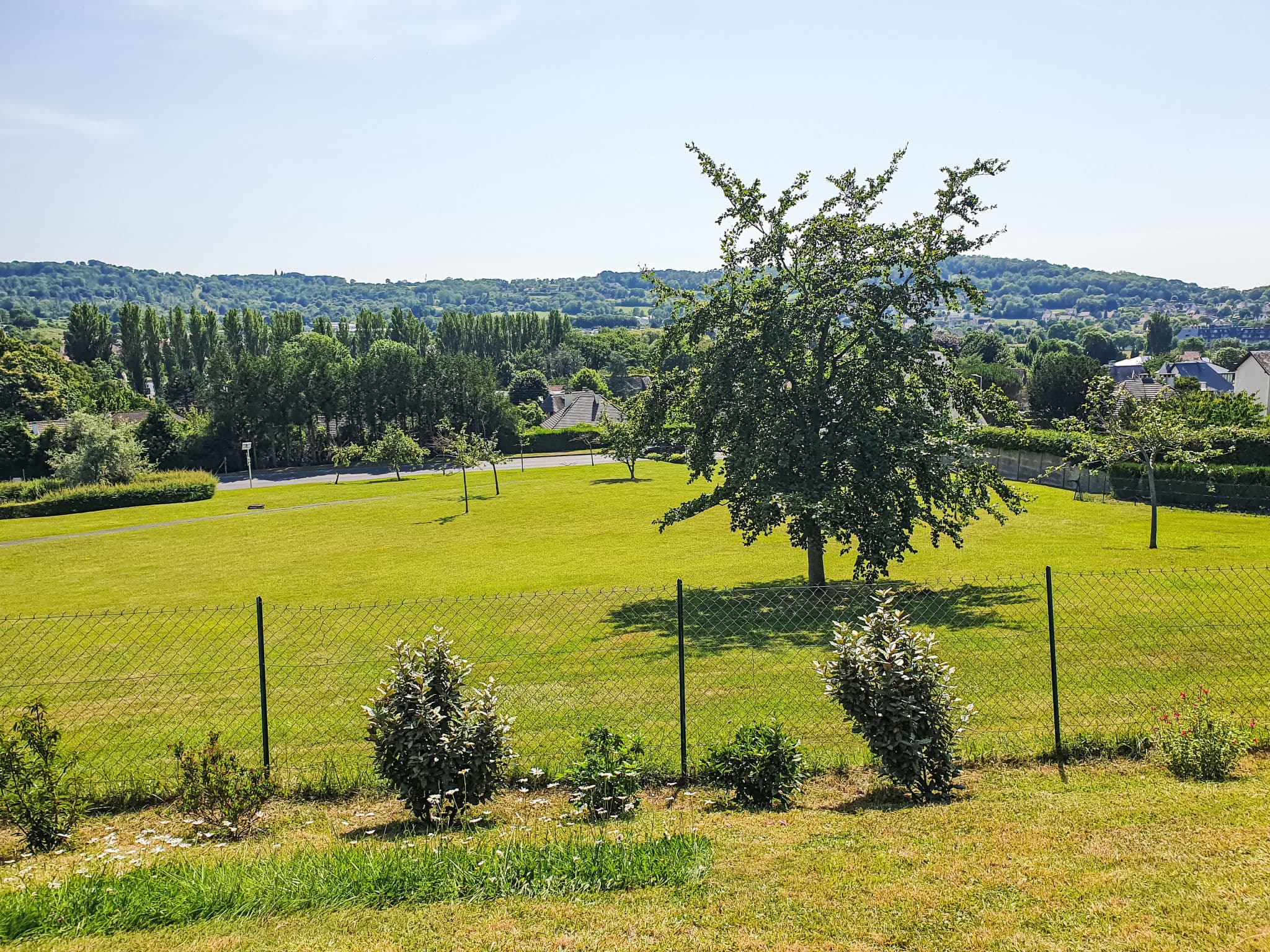View