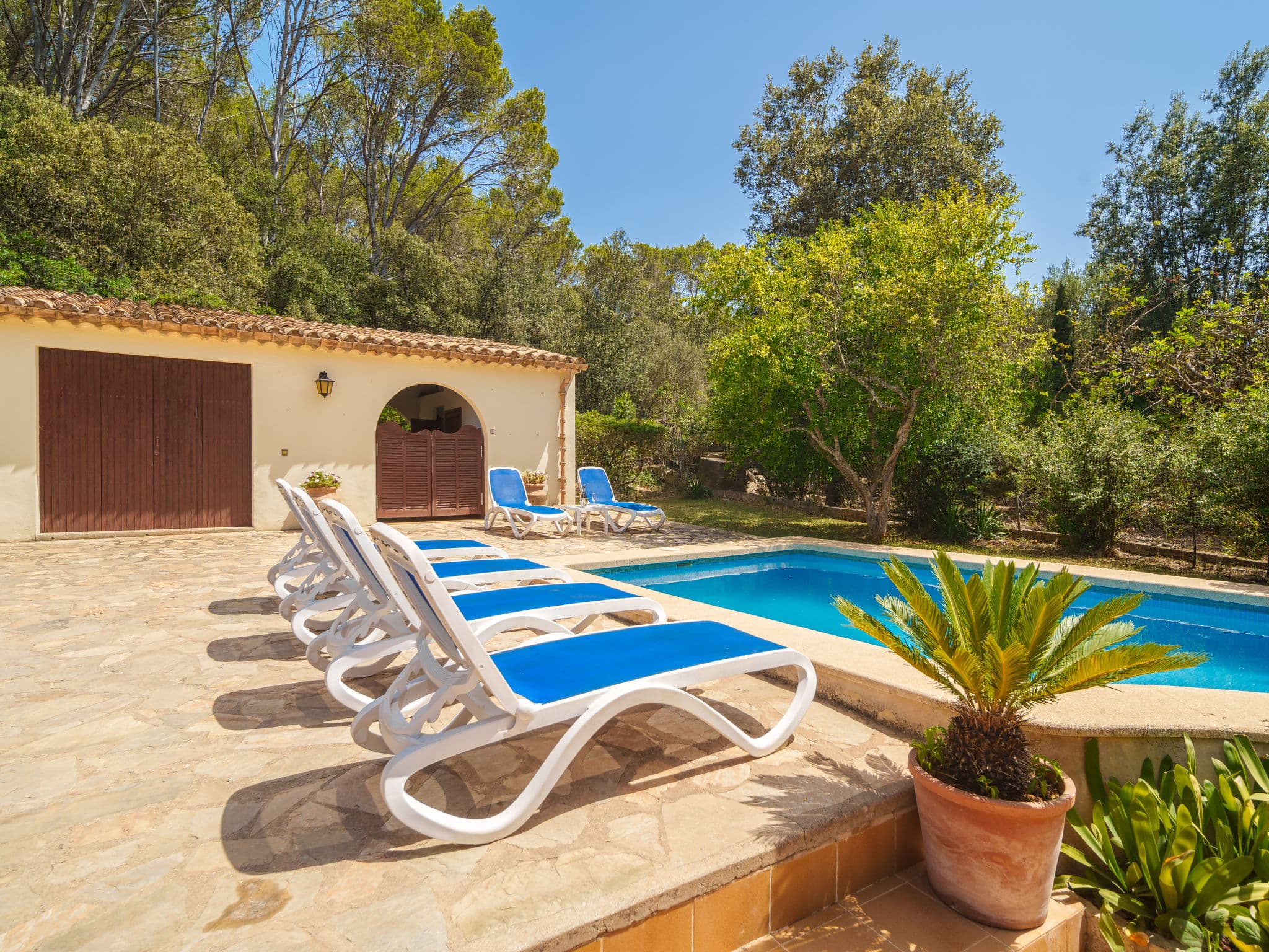 Pool Outdoor
