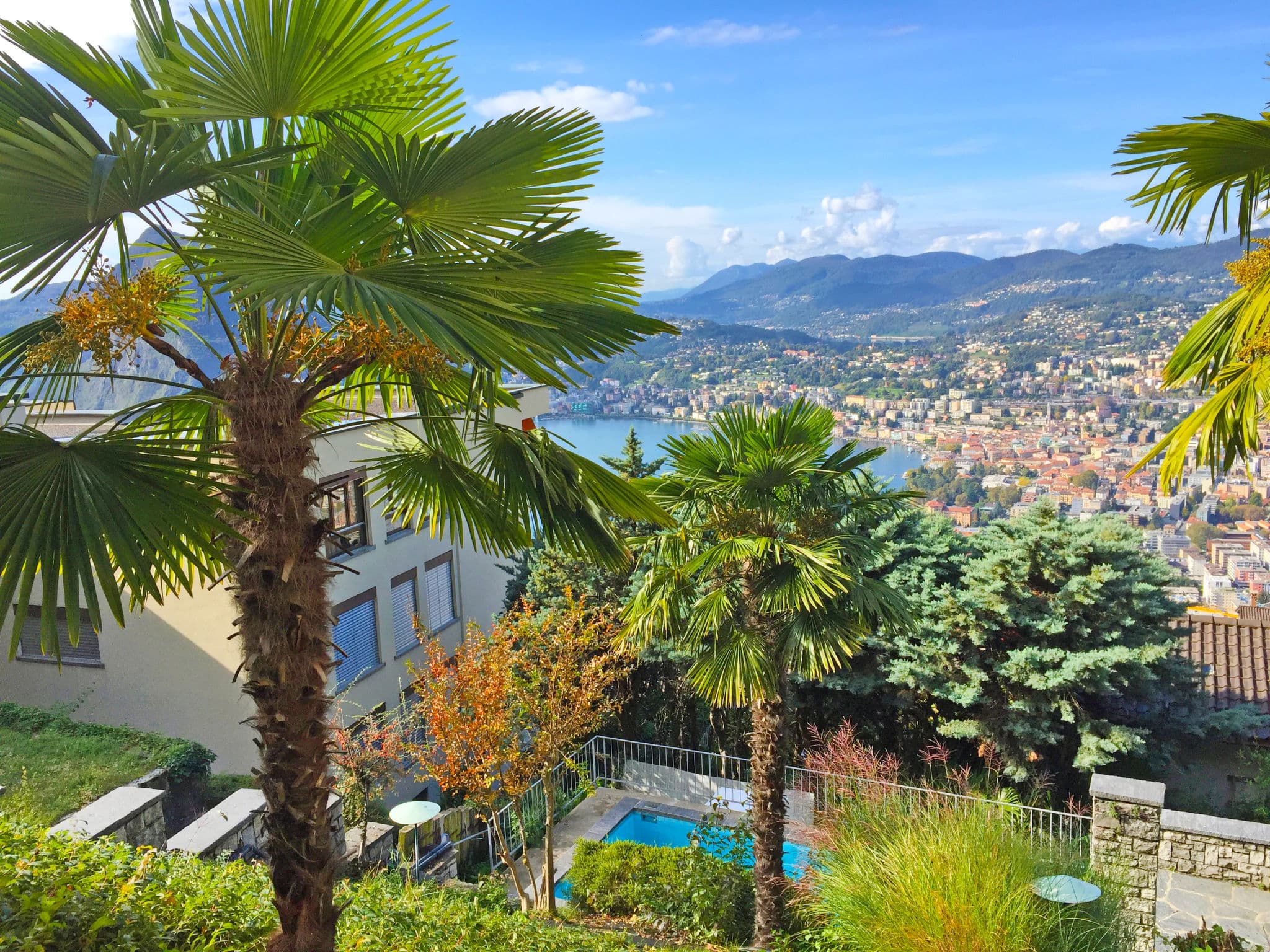 View