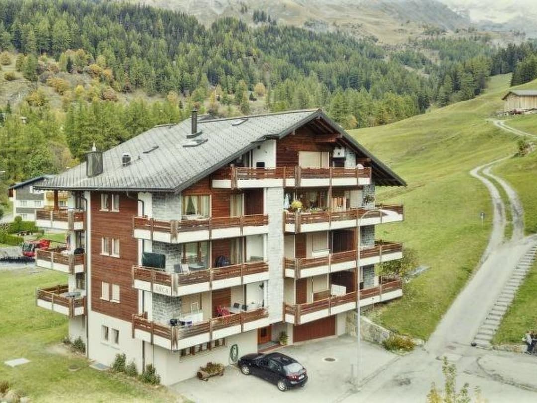 Large Image