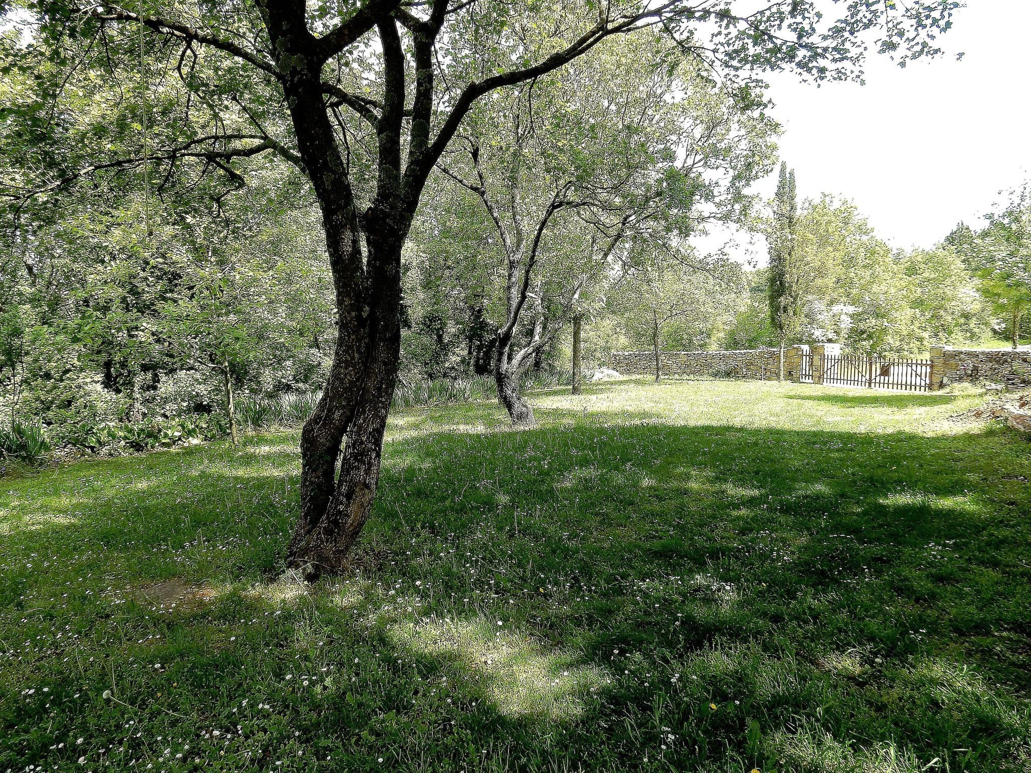 Gallery Image 24