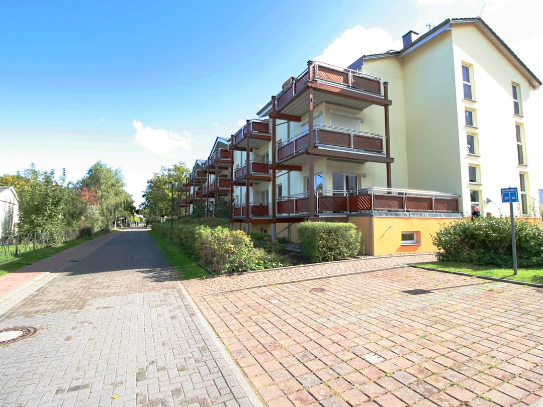 Large Image