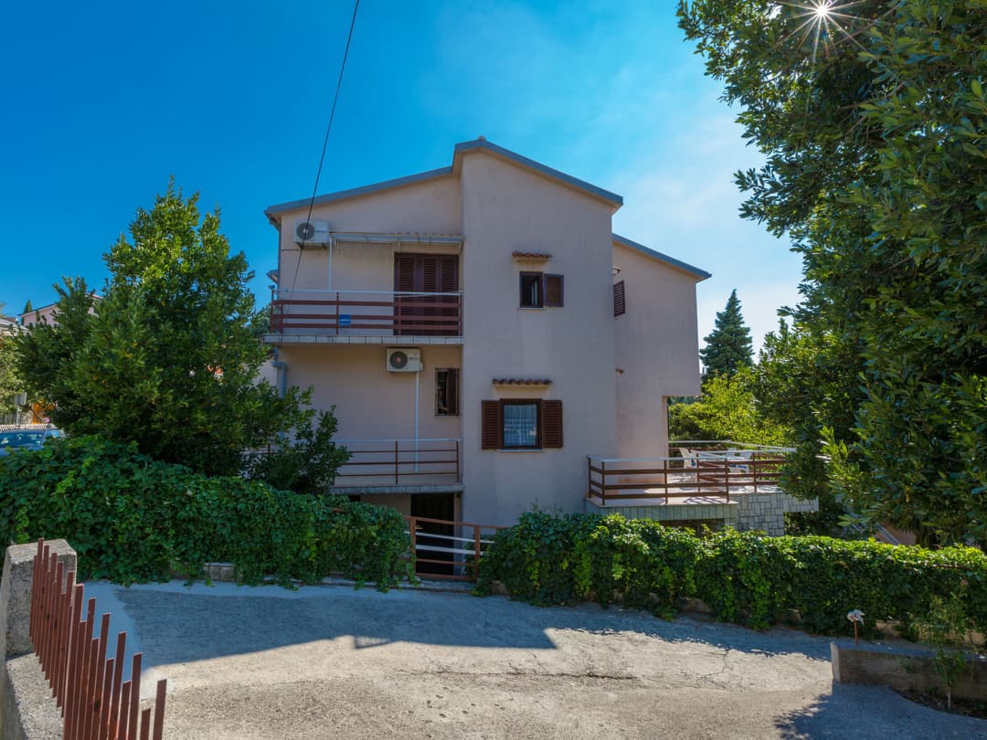 Large Image