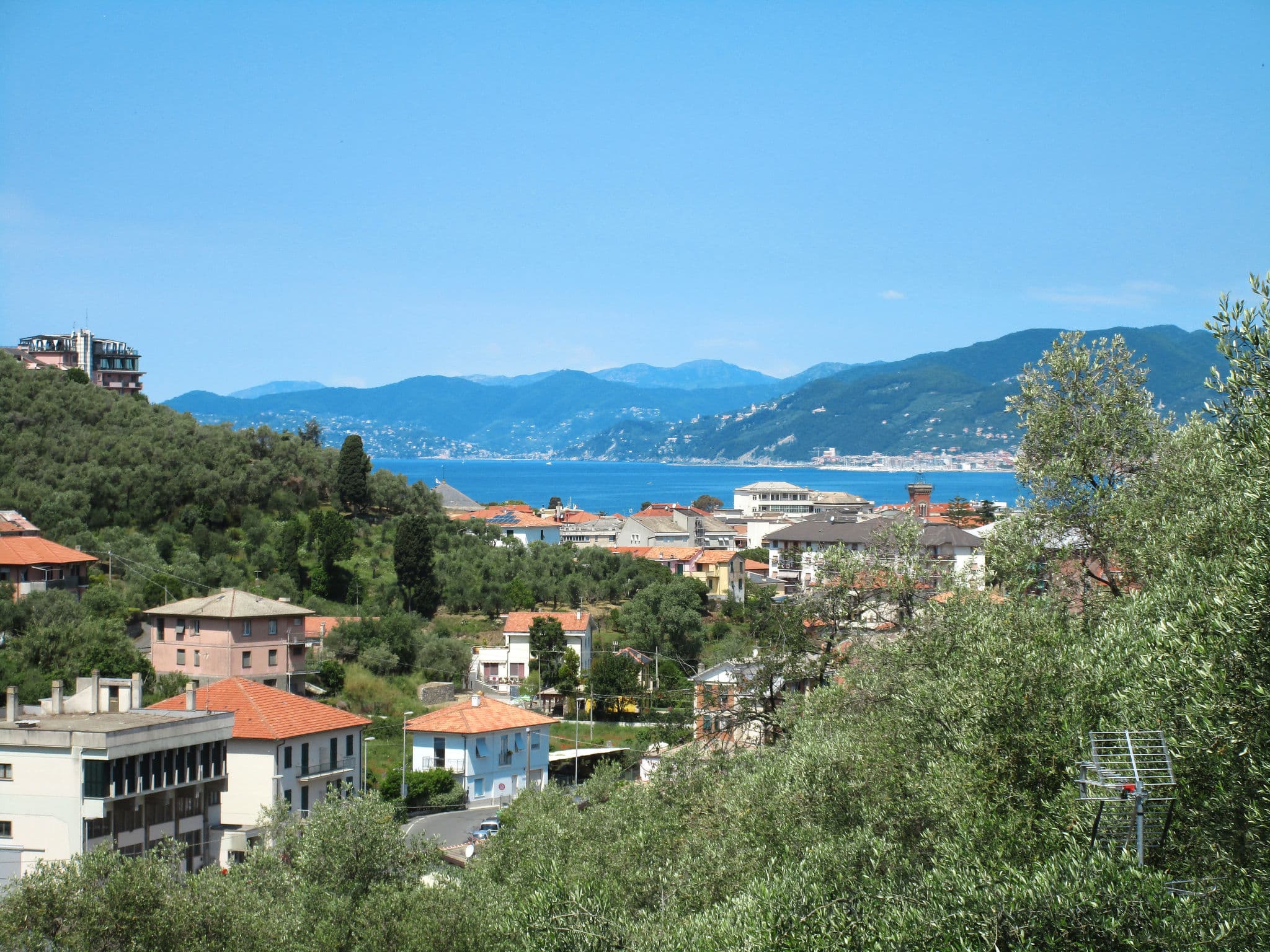 View