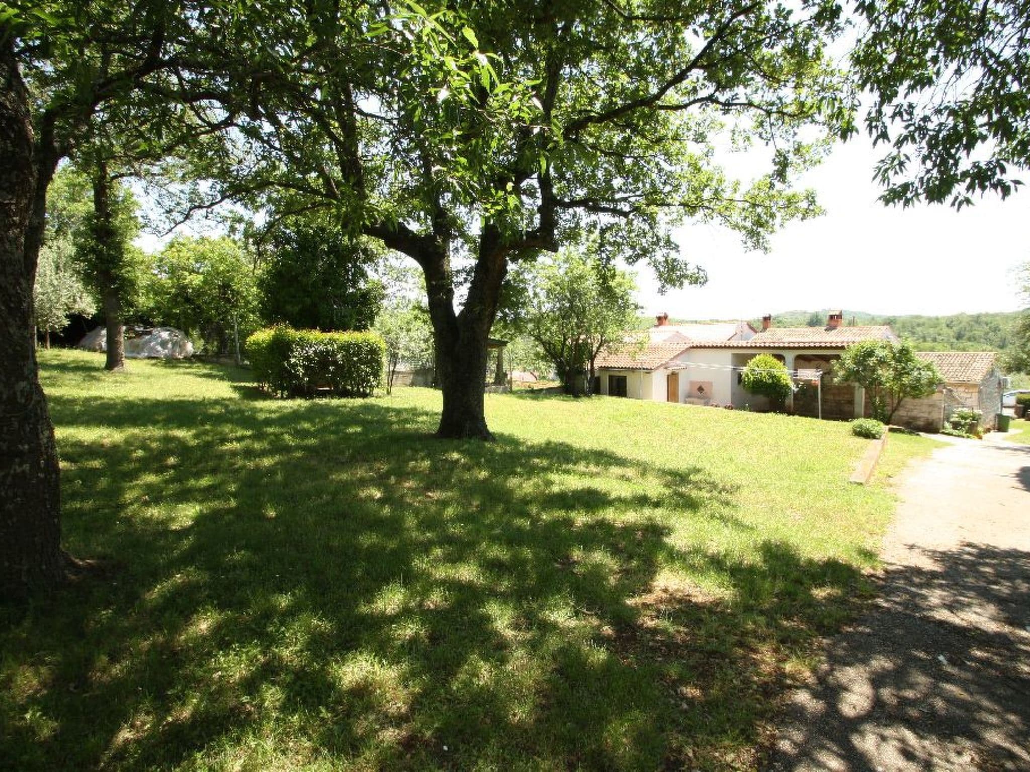 Gallery Image 11