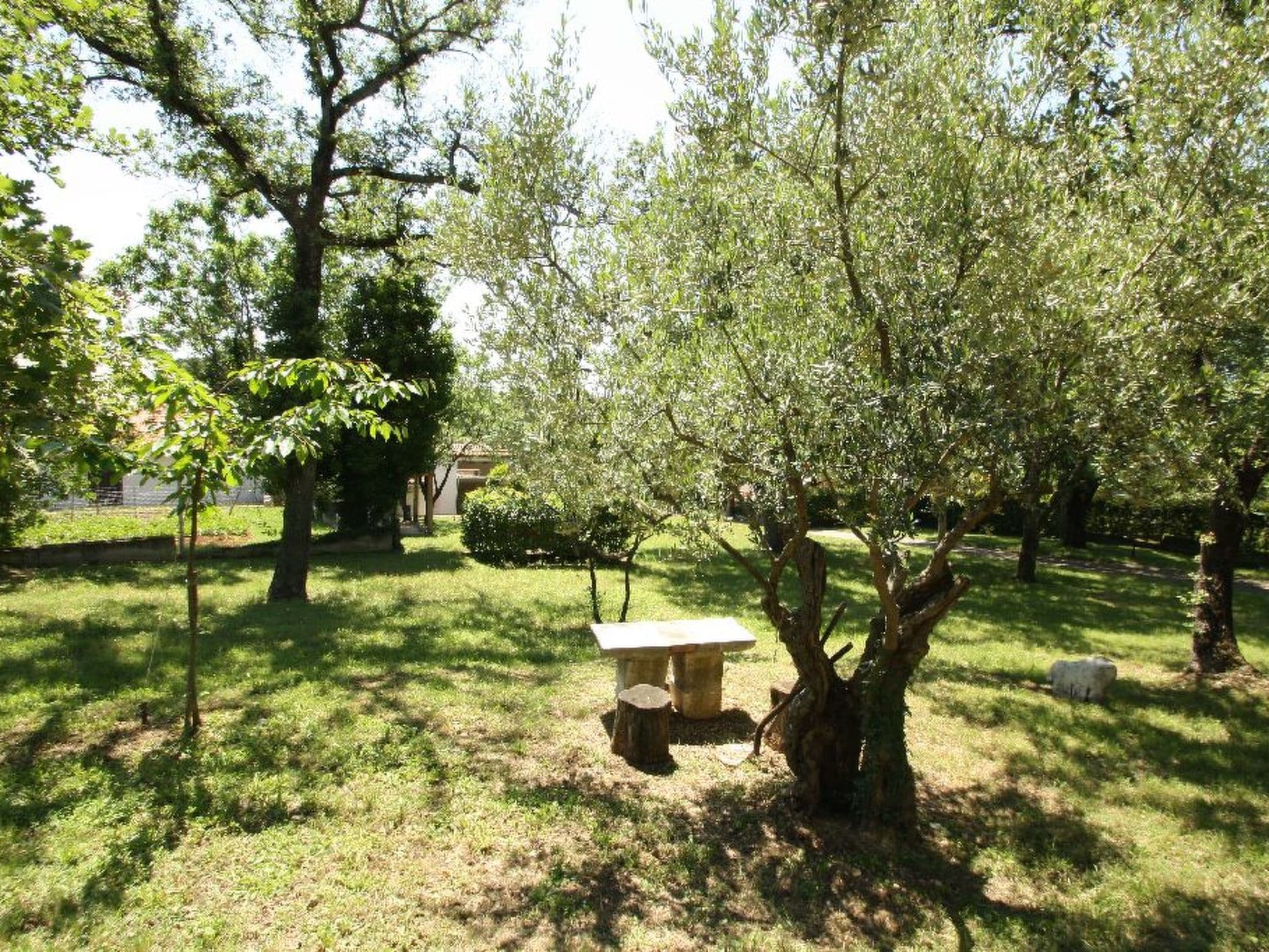 Gallery Image 13