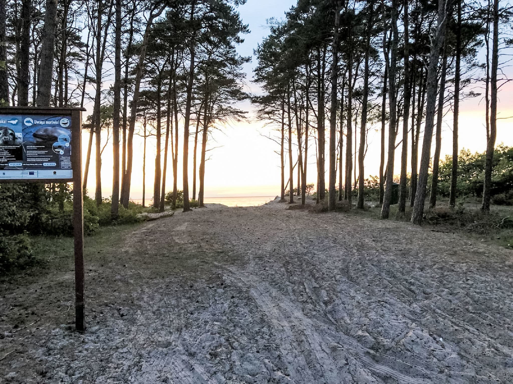 Beach
