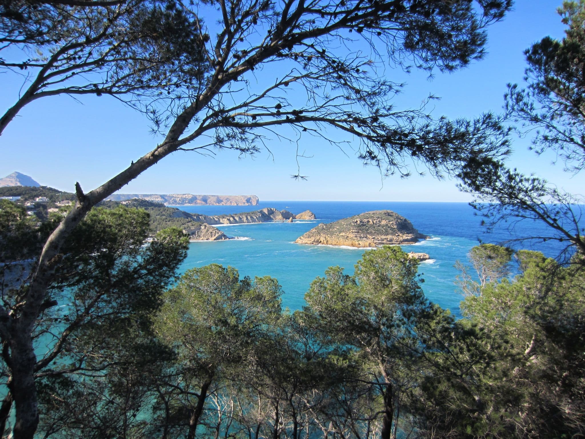 View