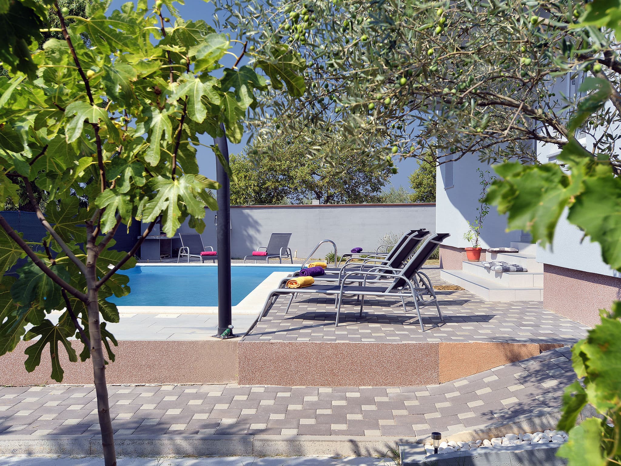 Pool Outdoor