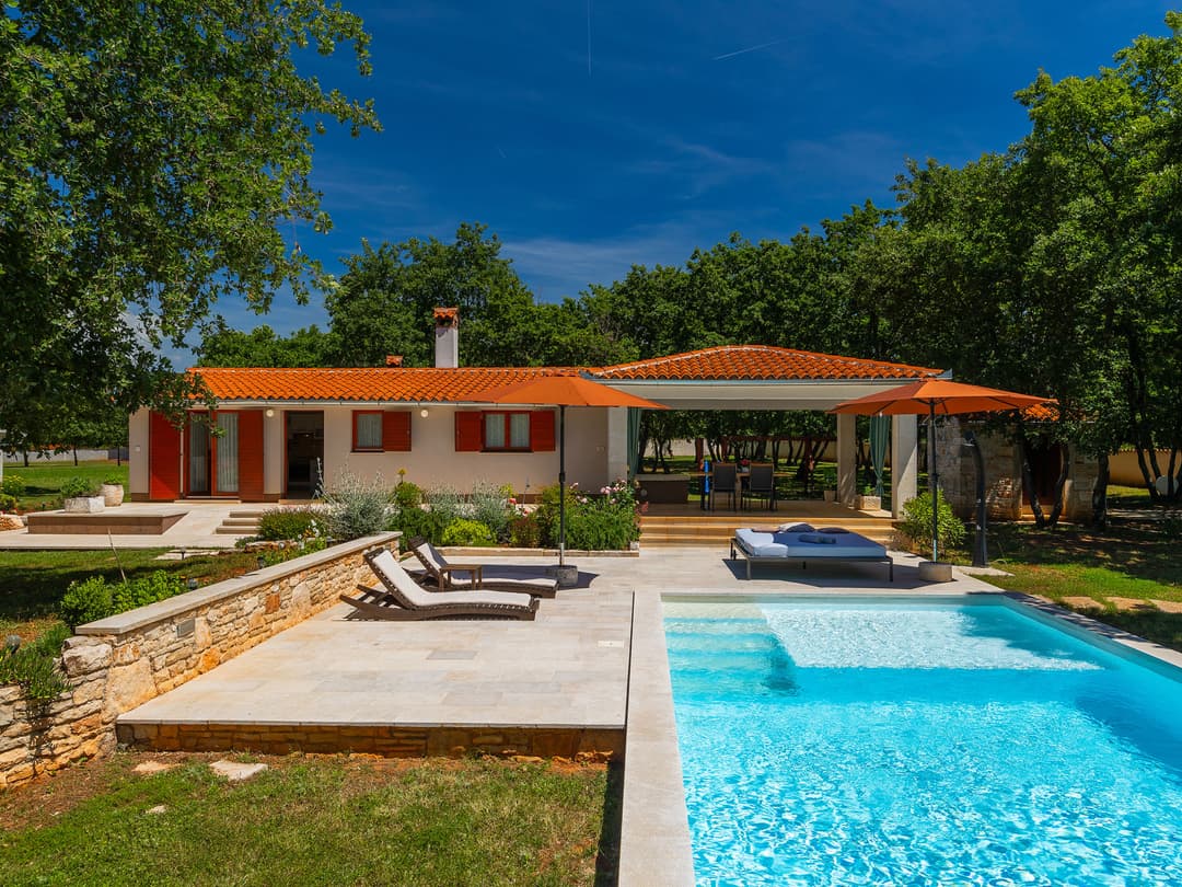 Large Image