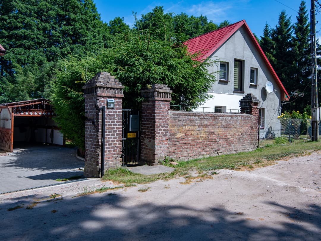 Large Image