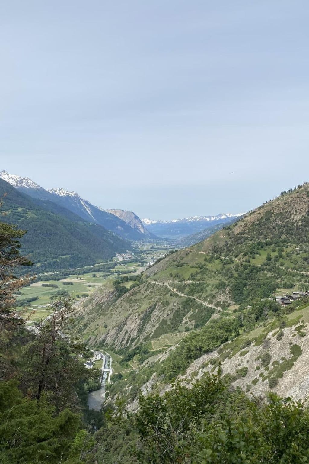 View