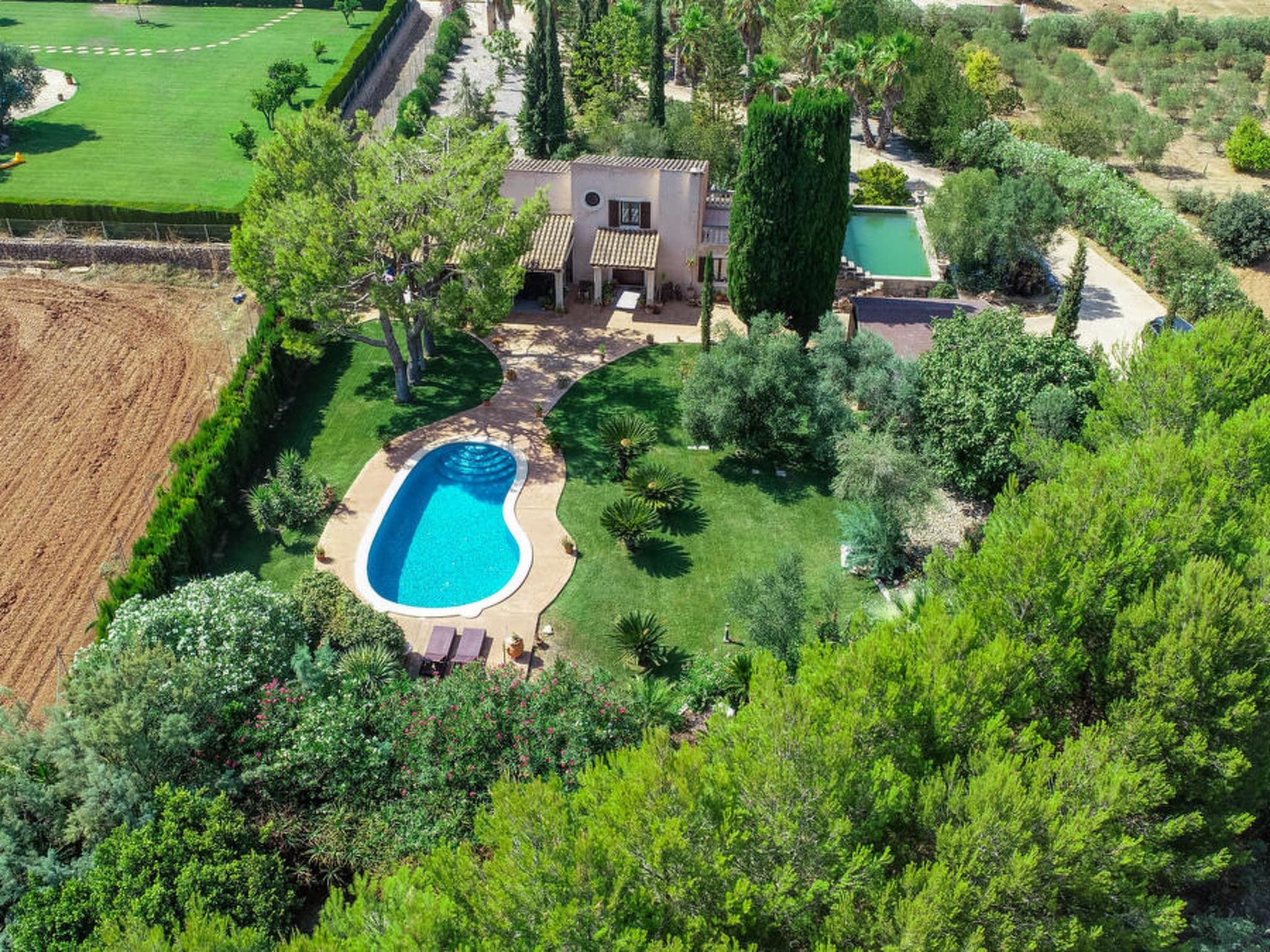 Aerial photography