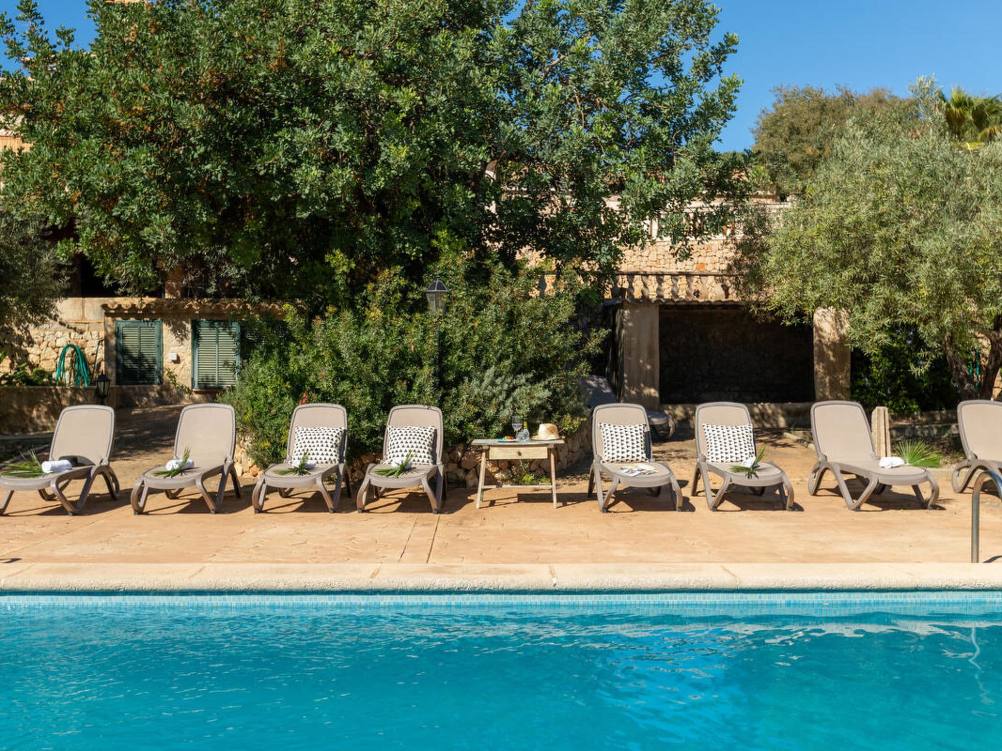 Pool Outdoor