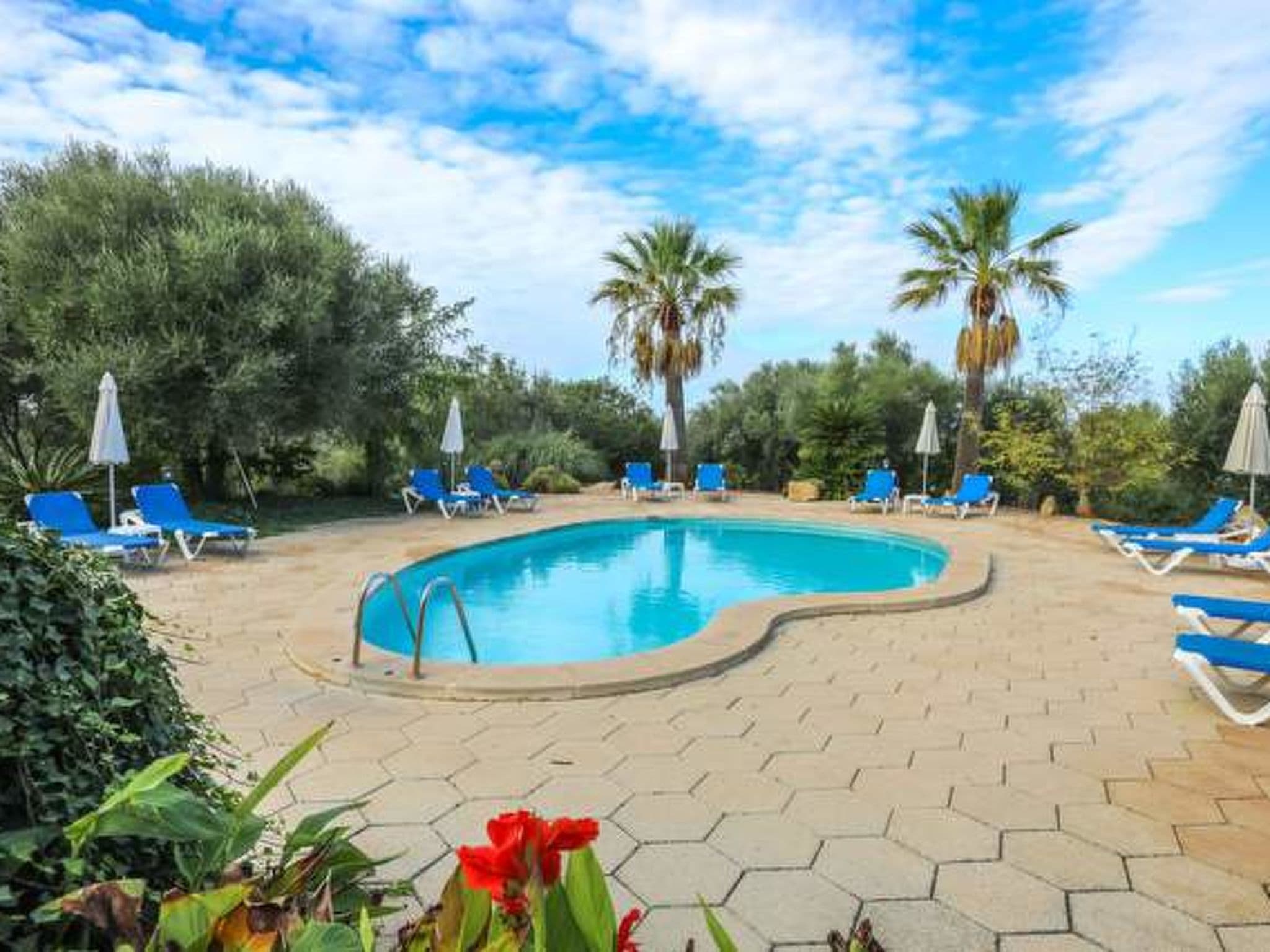 Pool Outdoor