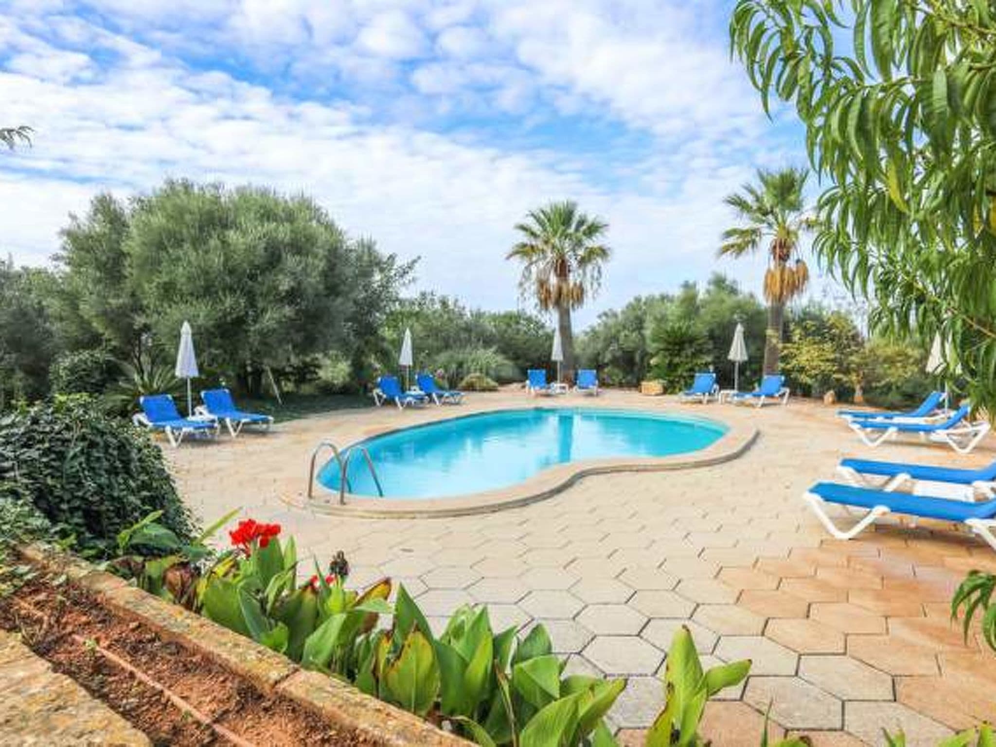Pool Outdoor
