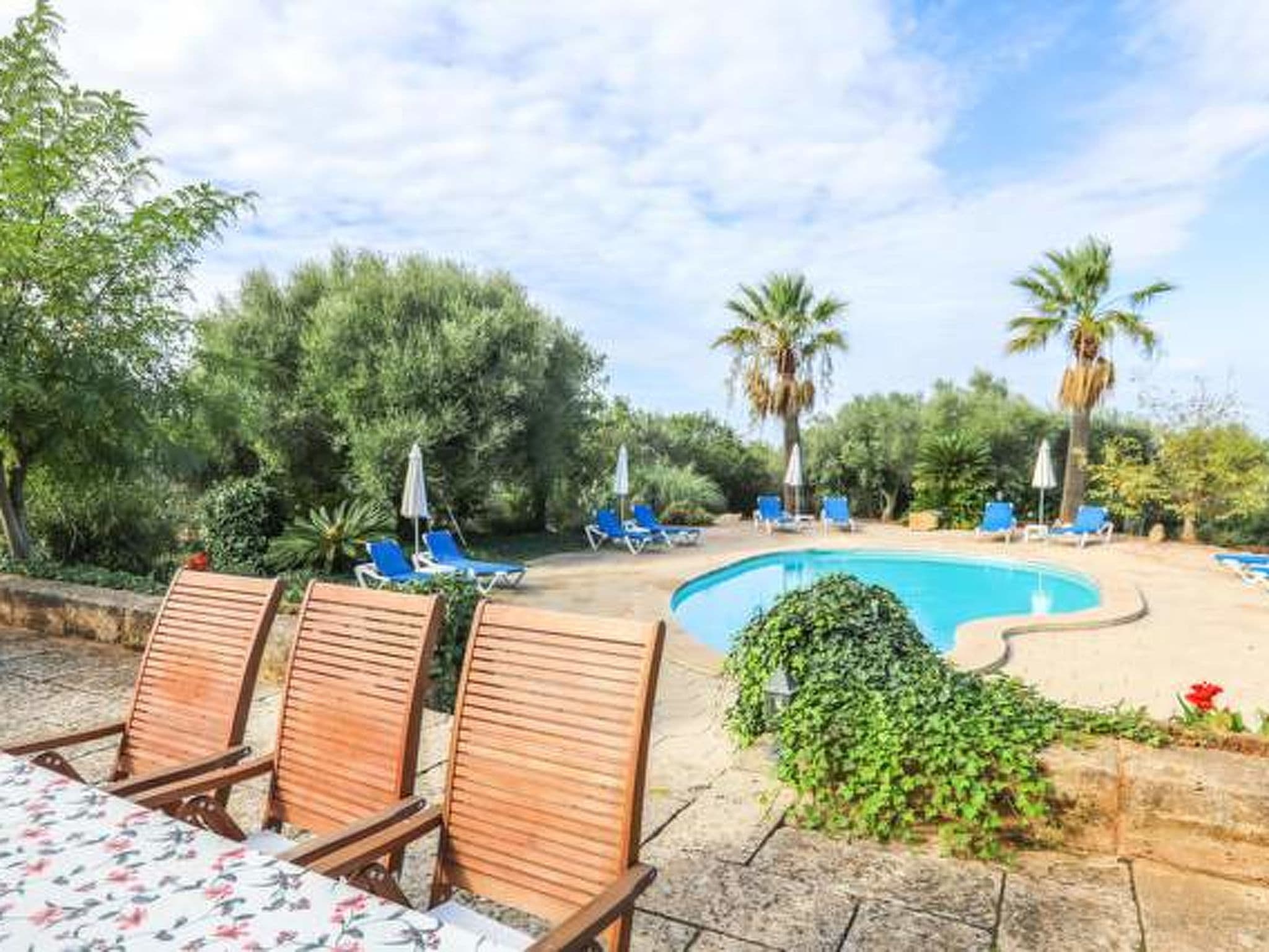 Pool Outdoor