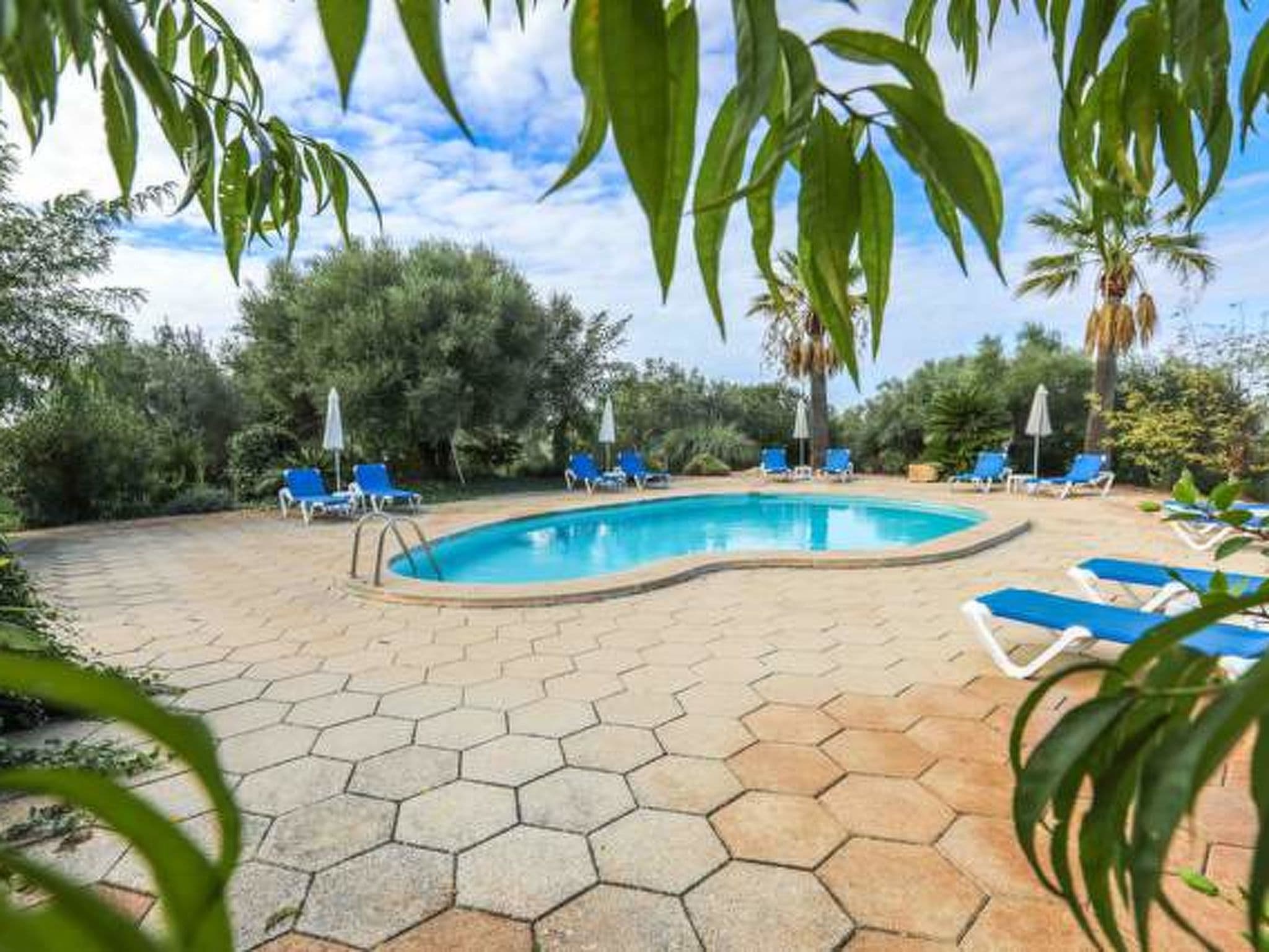 Pool Outdoor