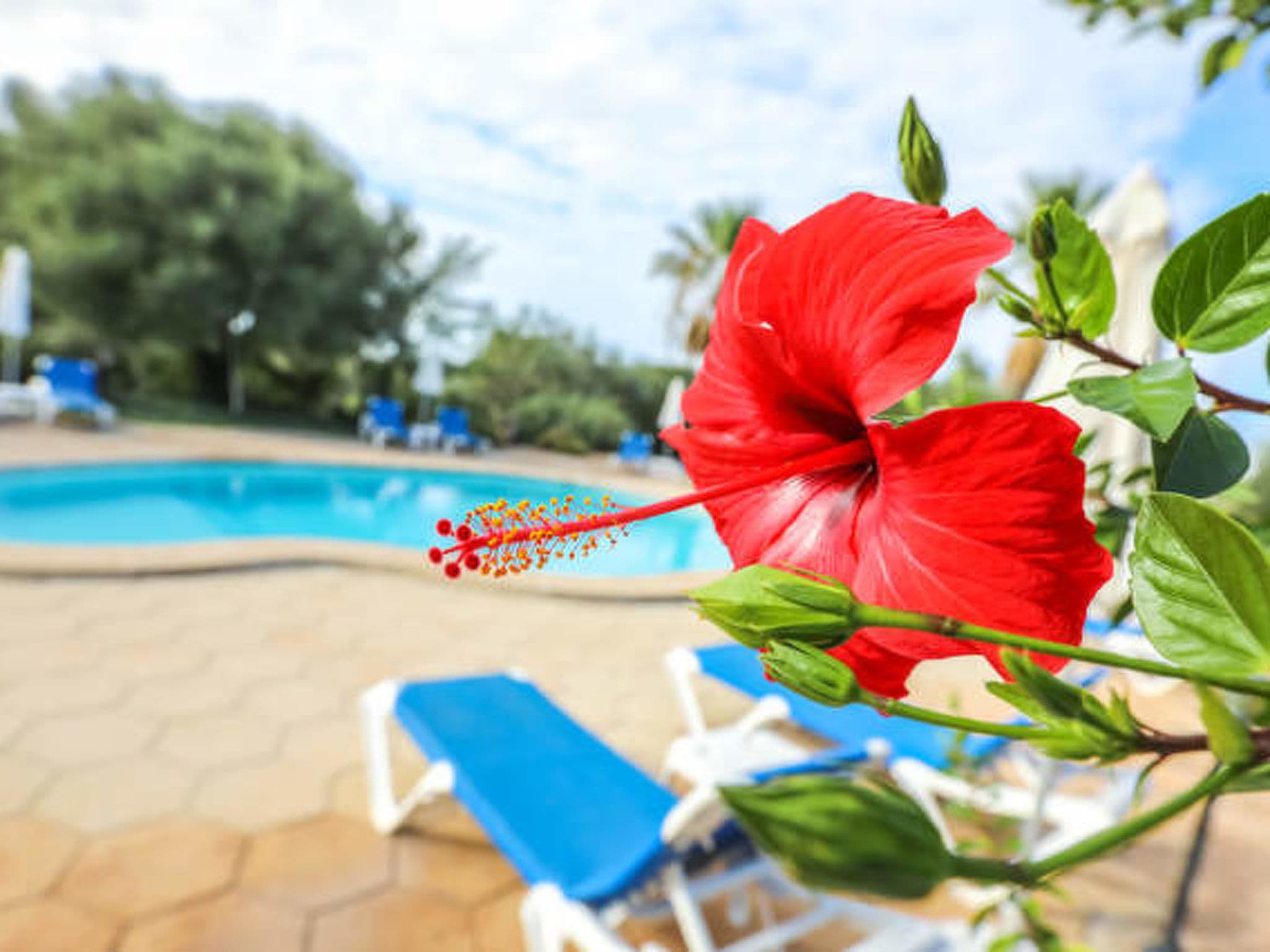 Pool Outdoor