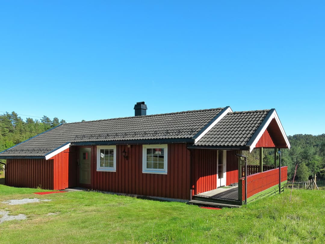 Large Image
