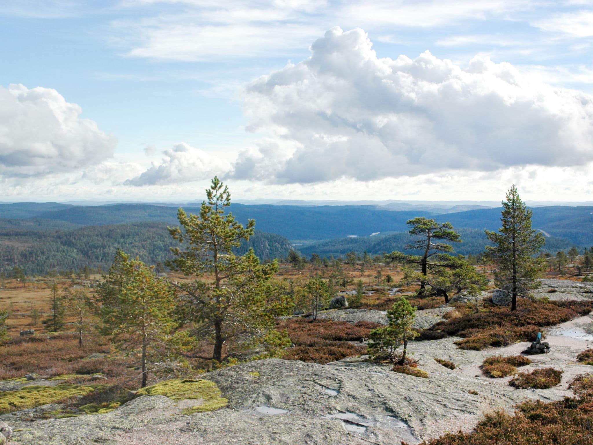 Place