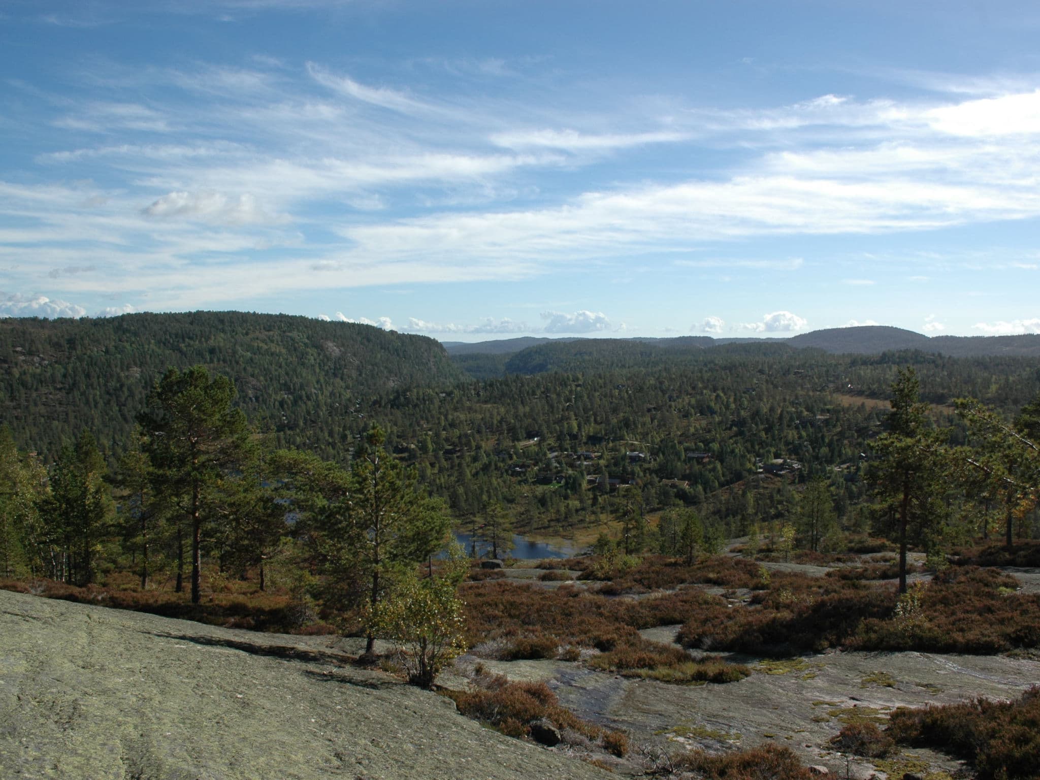 View