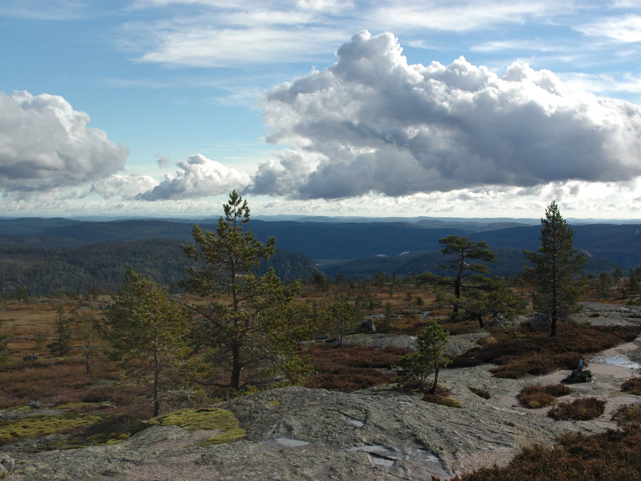 View