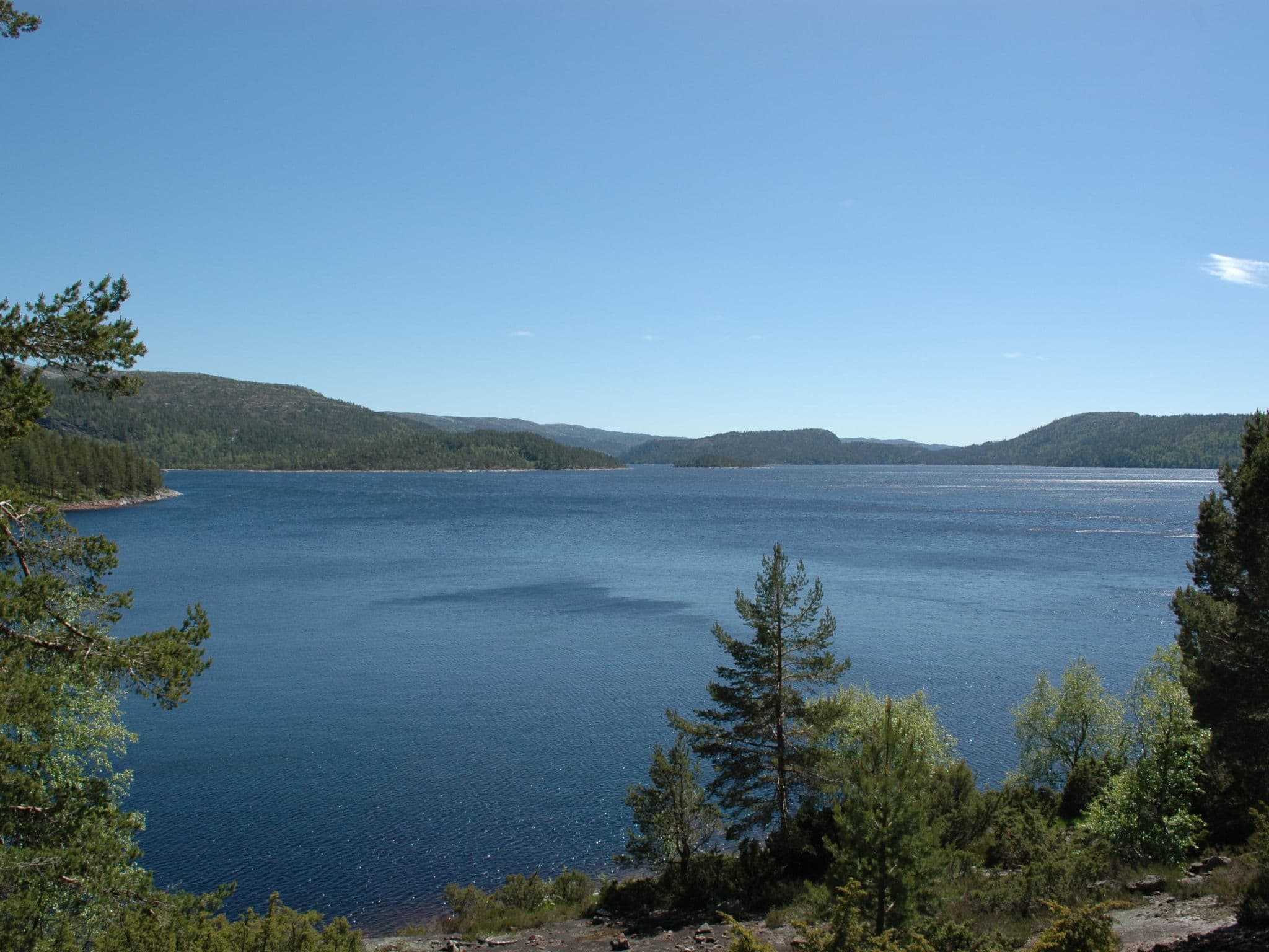 View