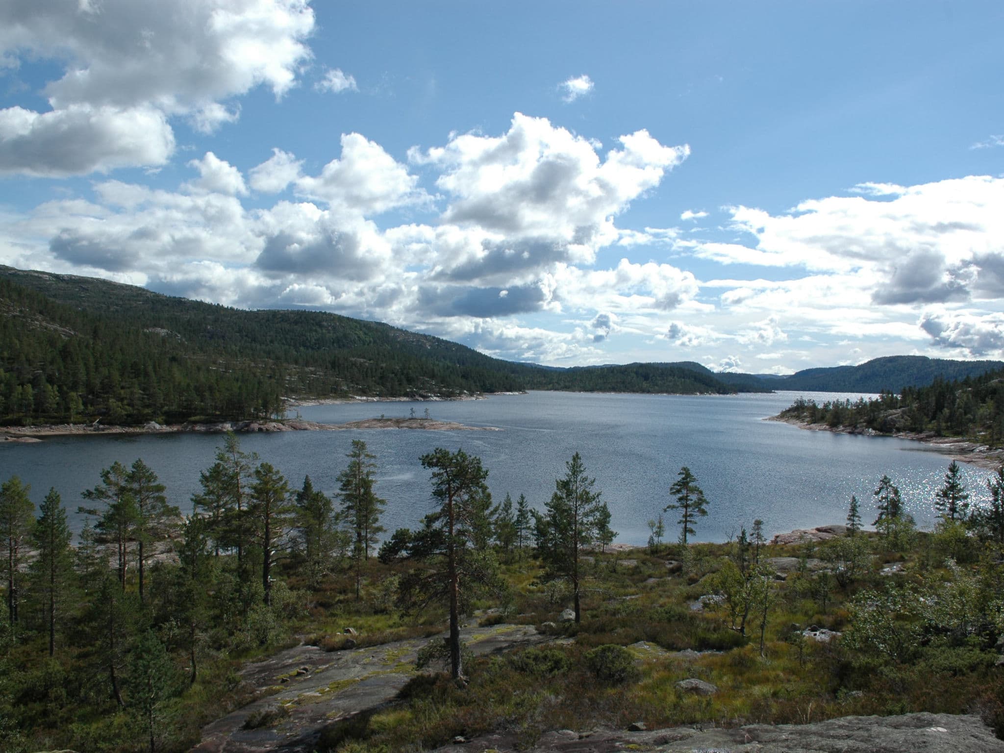 View